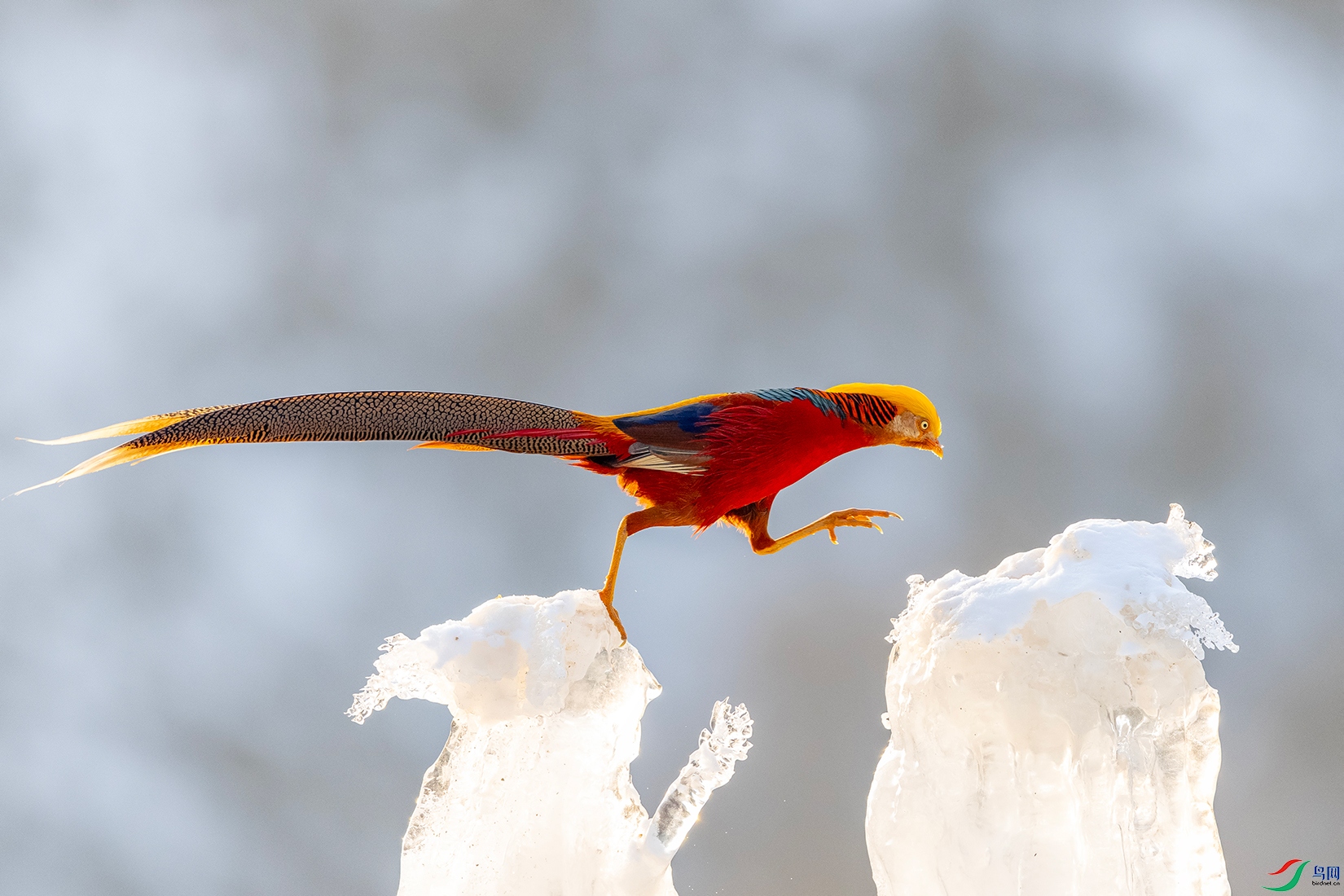 IMG_0883 ����.jpg