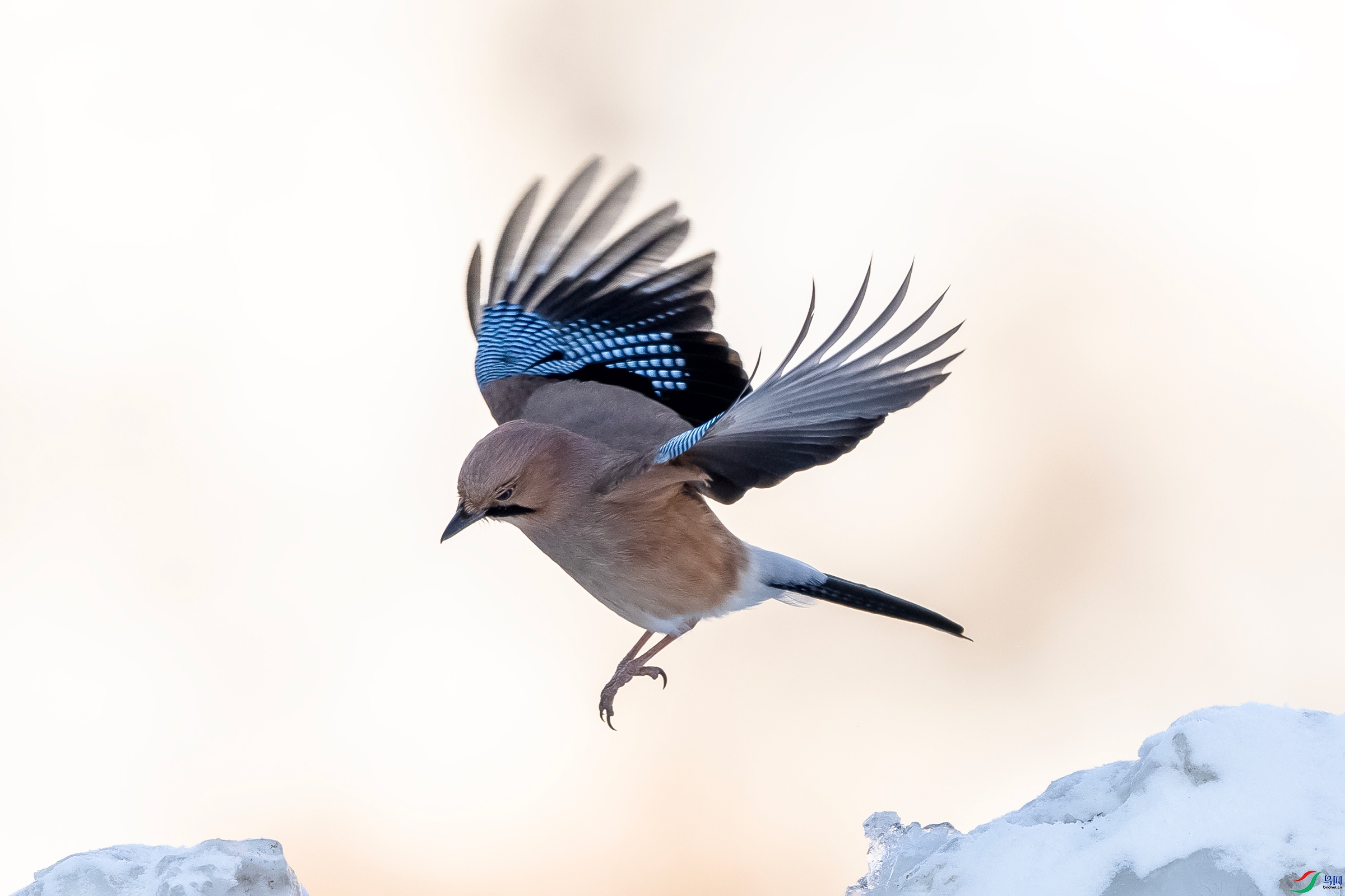 IMG_0507 ����.jpg