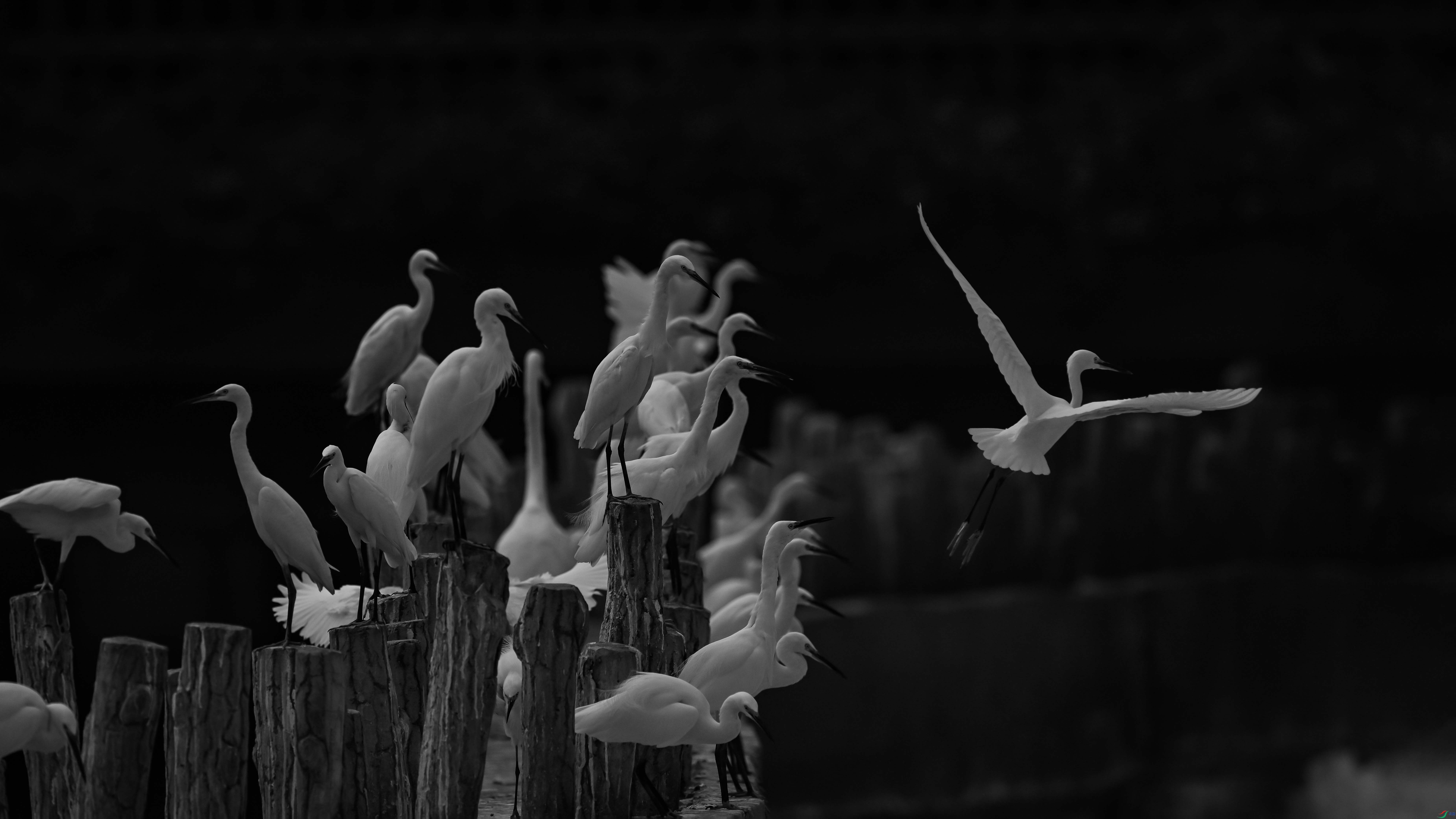 DSC_7159.jpg