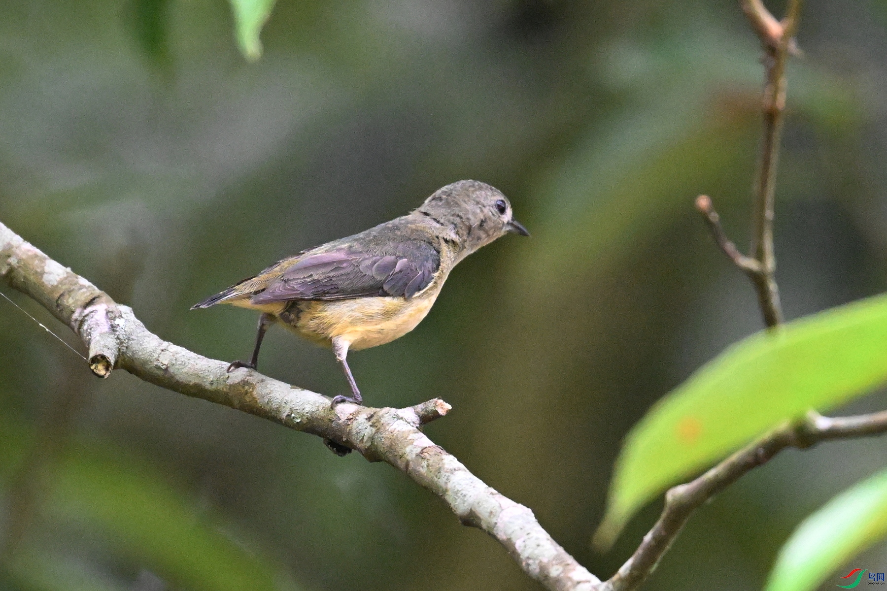 DSC_9917.JPG
