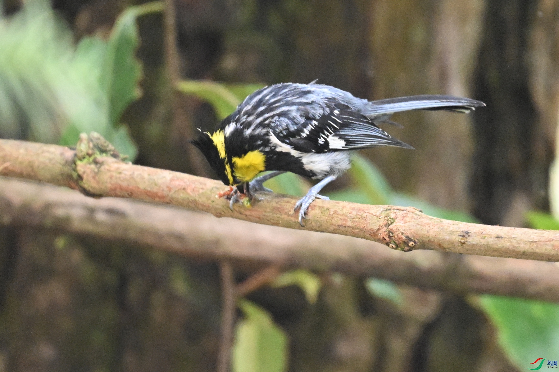 DSC_9989.JPG