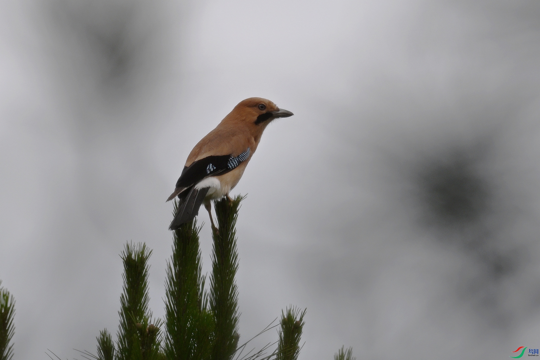 DSC_9945.JPG