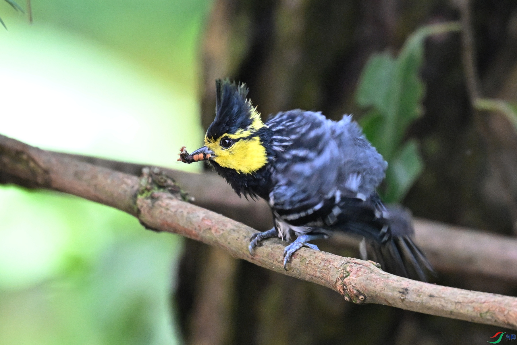 DSC_9996.JPG