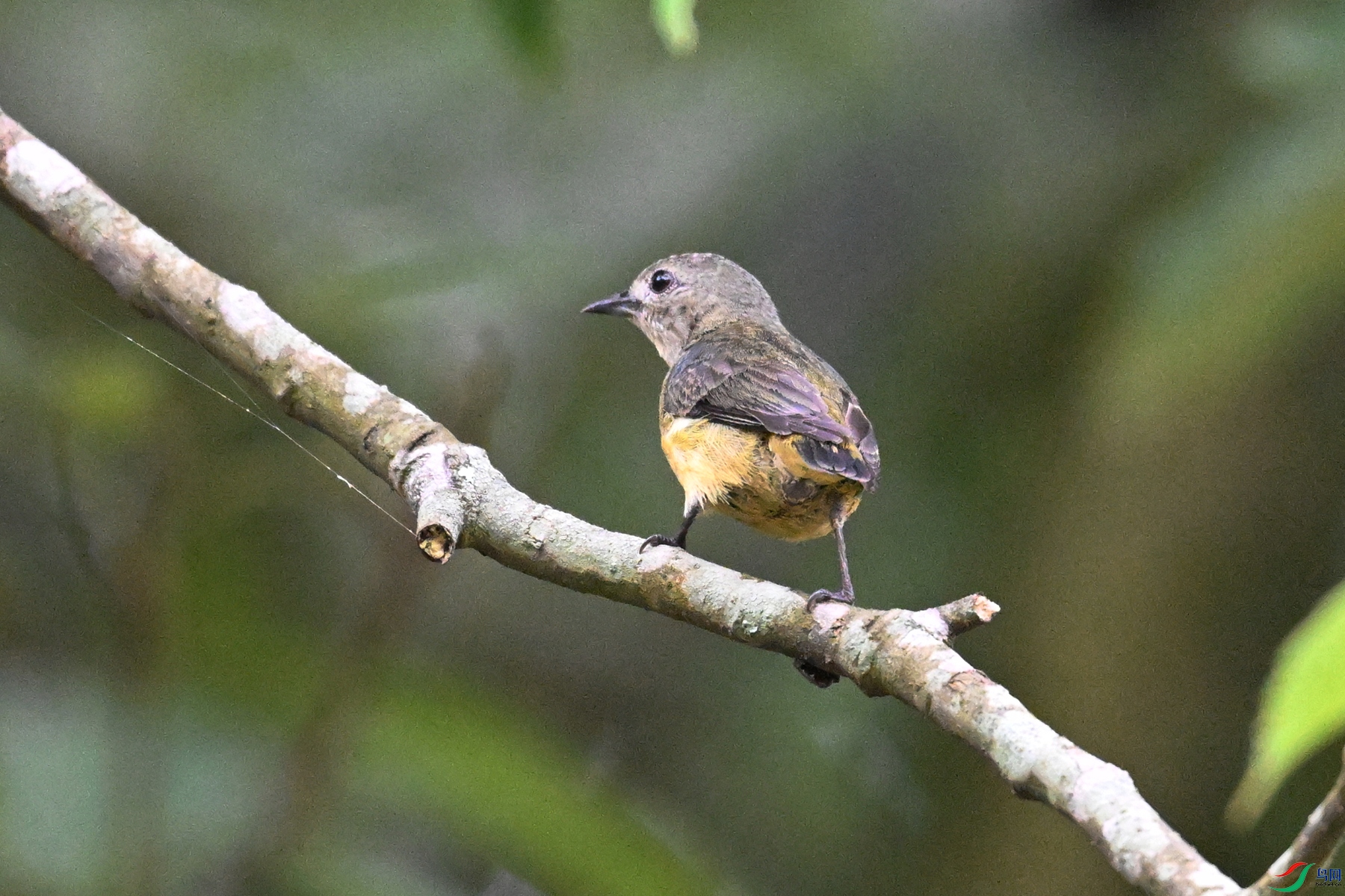 DSC_9923.JPG