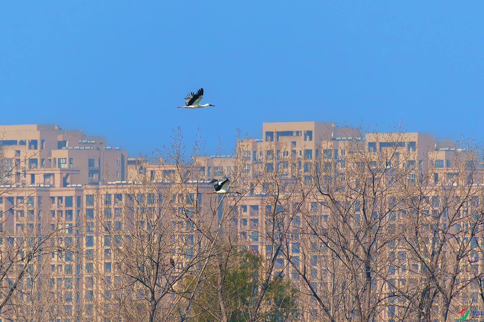 ����Ѱ�����ռ�