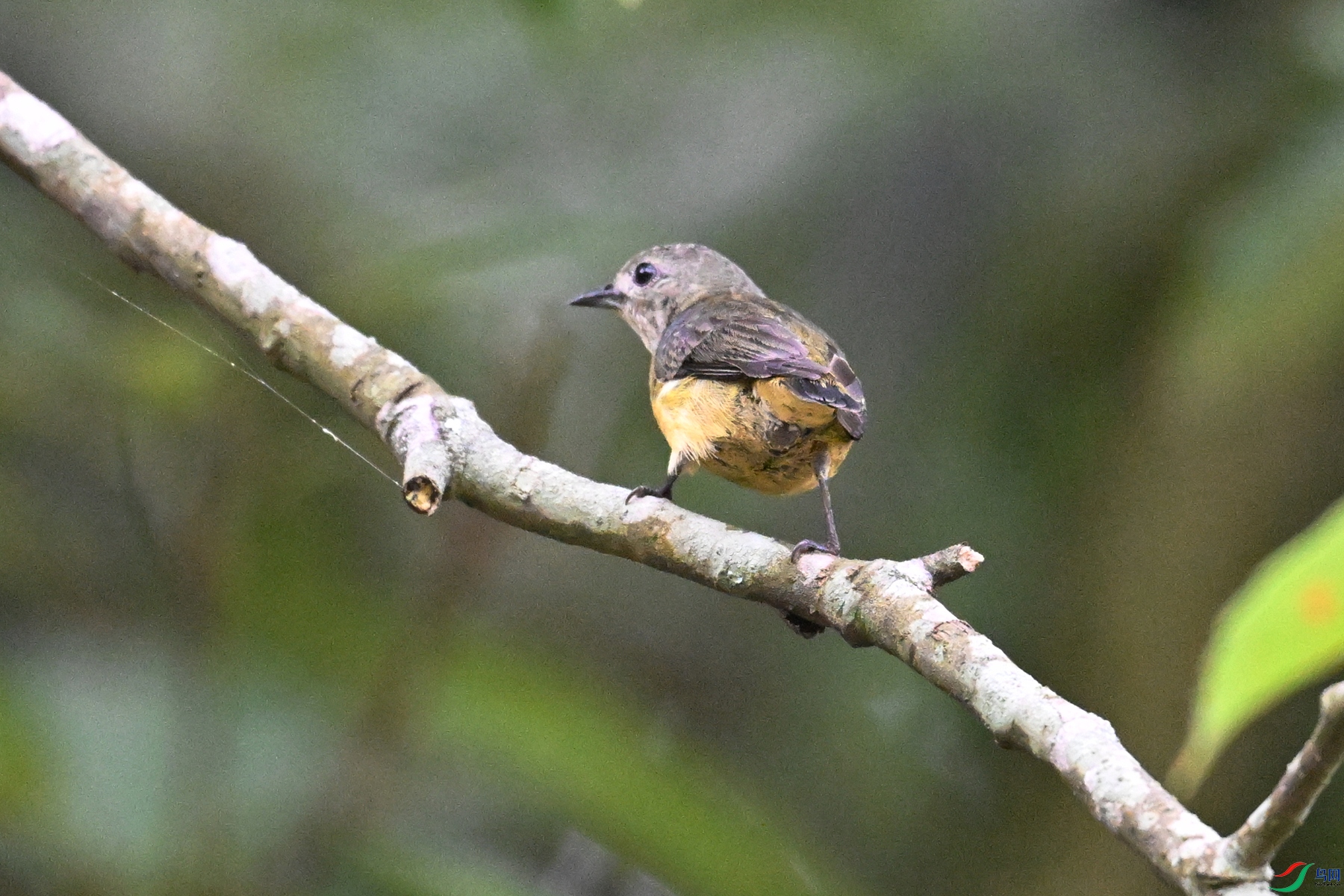 DSC_9927.JPG