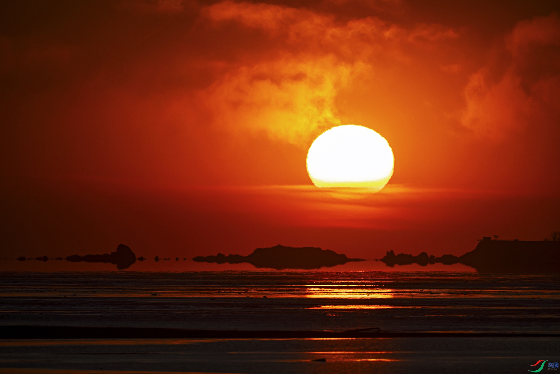 _5LM5380a.jpg