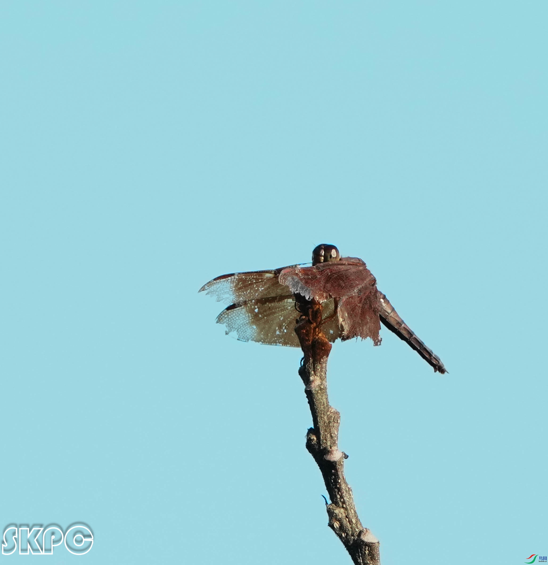 DSC03878.jpg