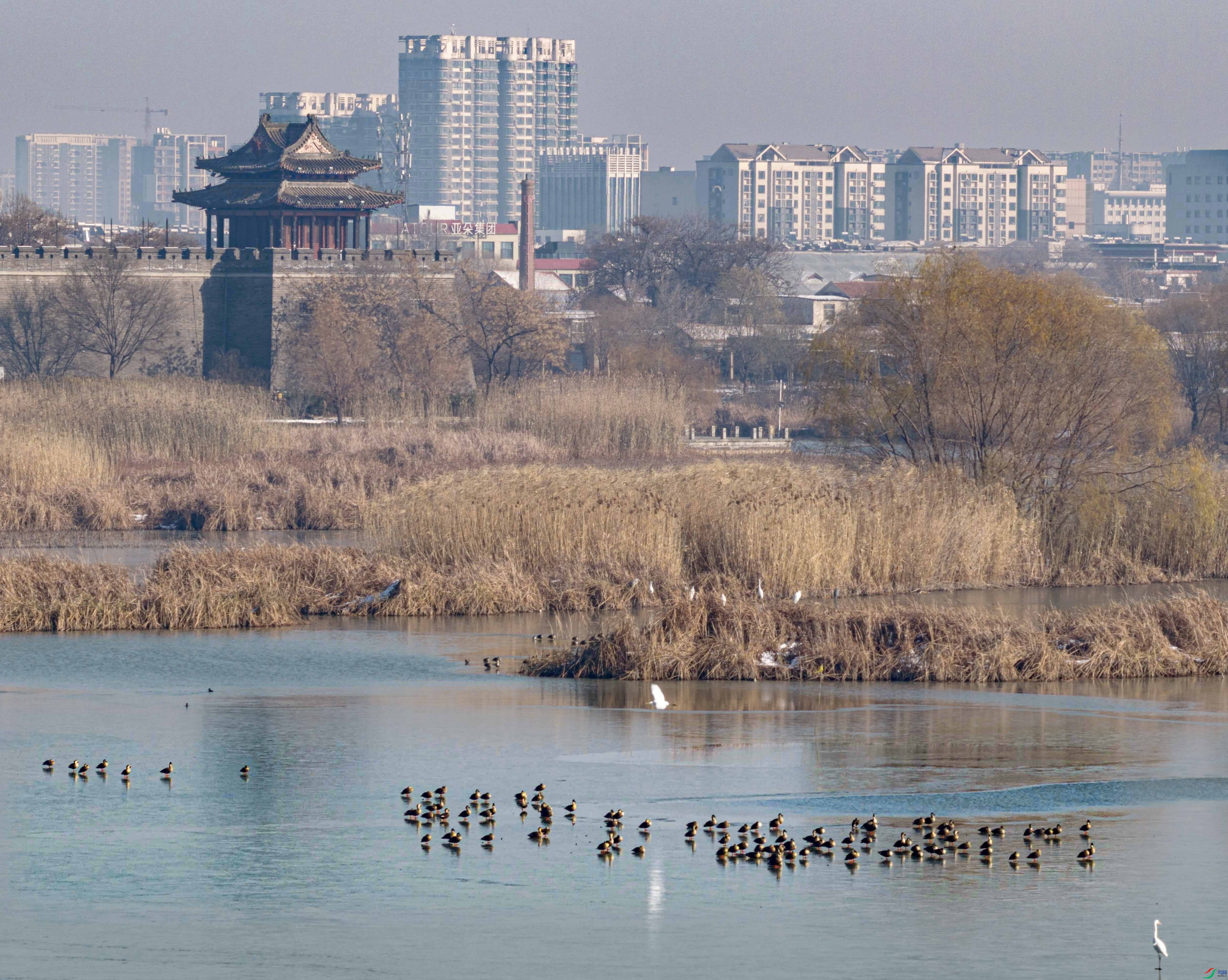 DJI_20251214102752_0330_D ����.jpg