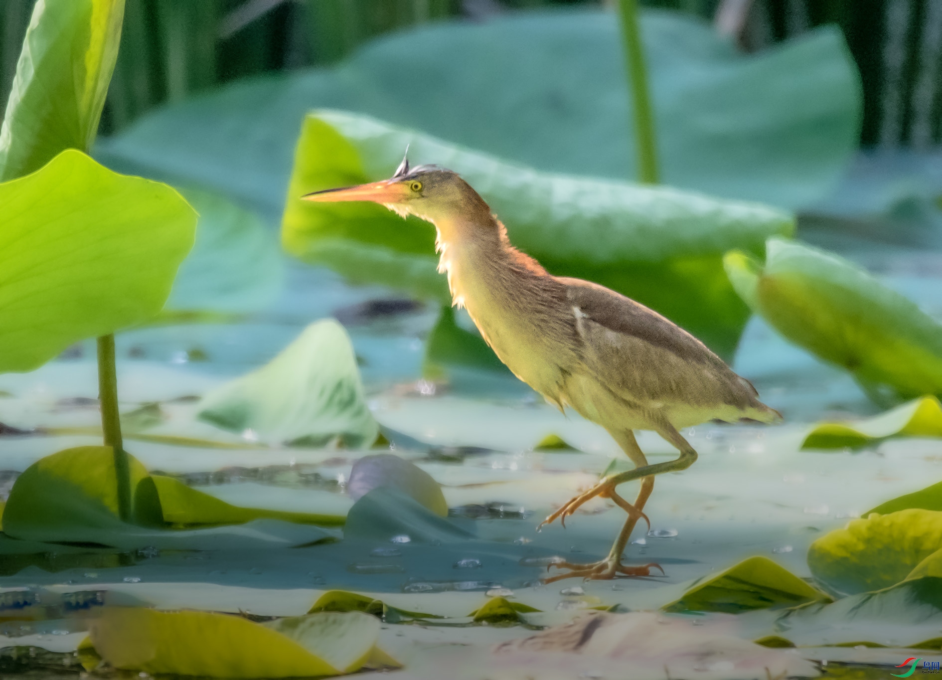 REC_4727 ����.jpg