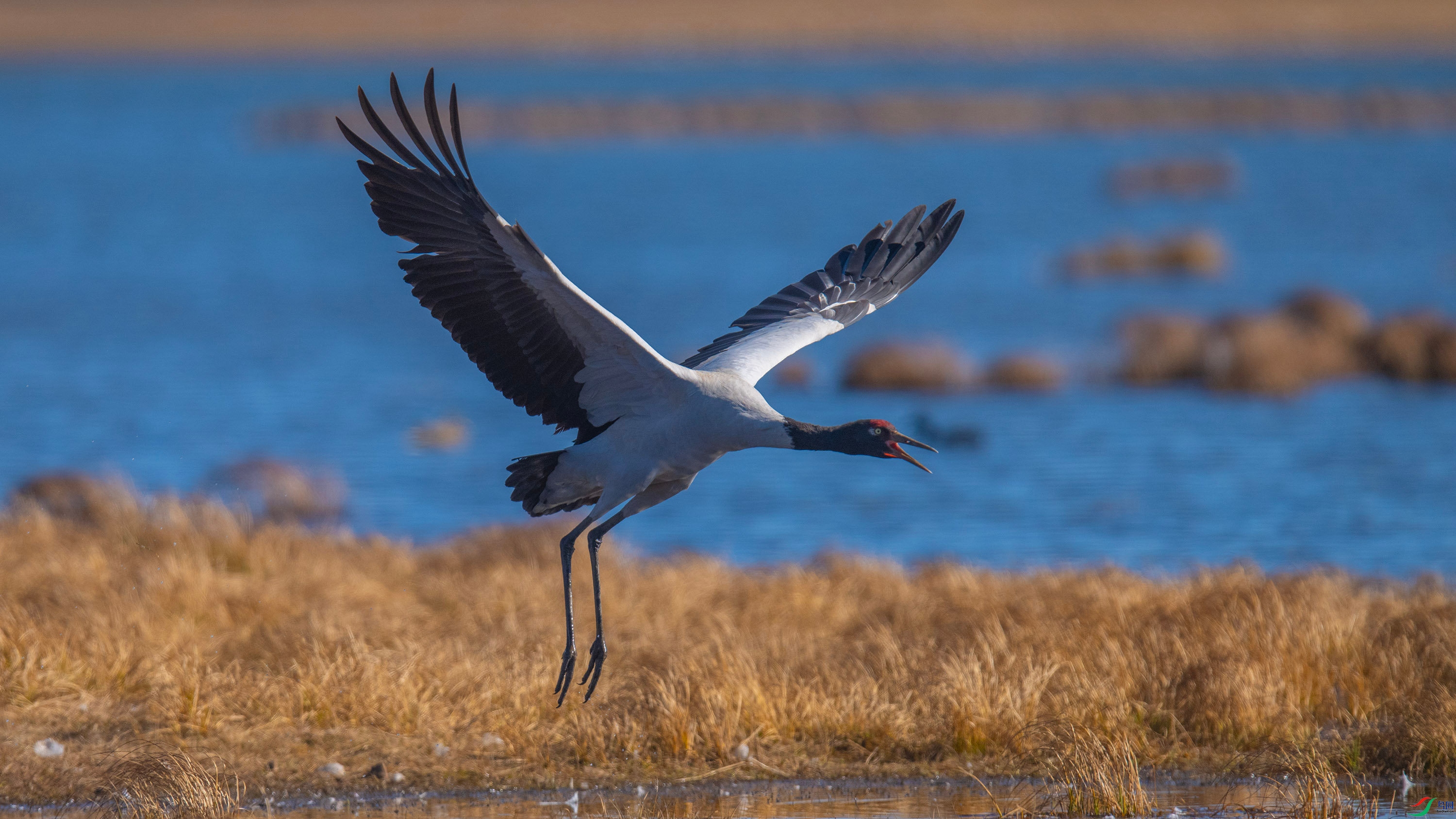 �ھ��� (5).jpg