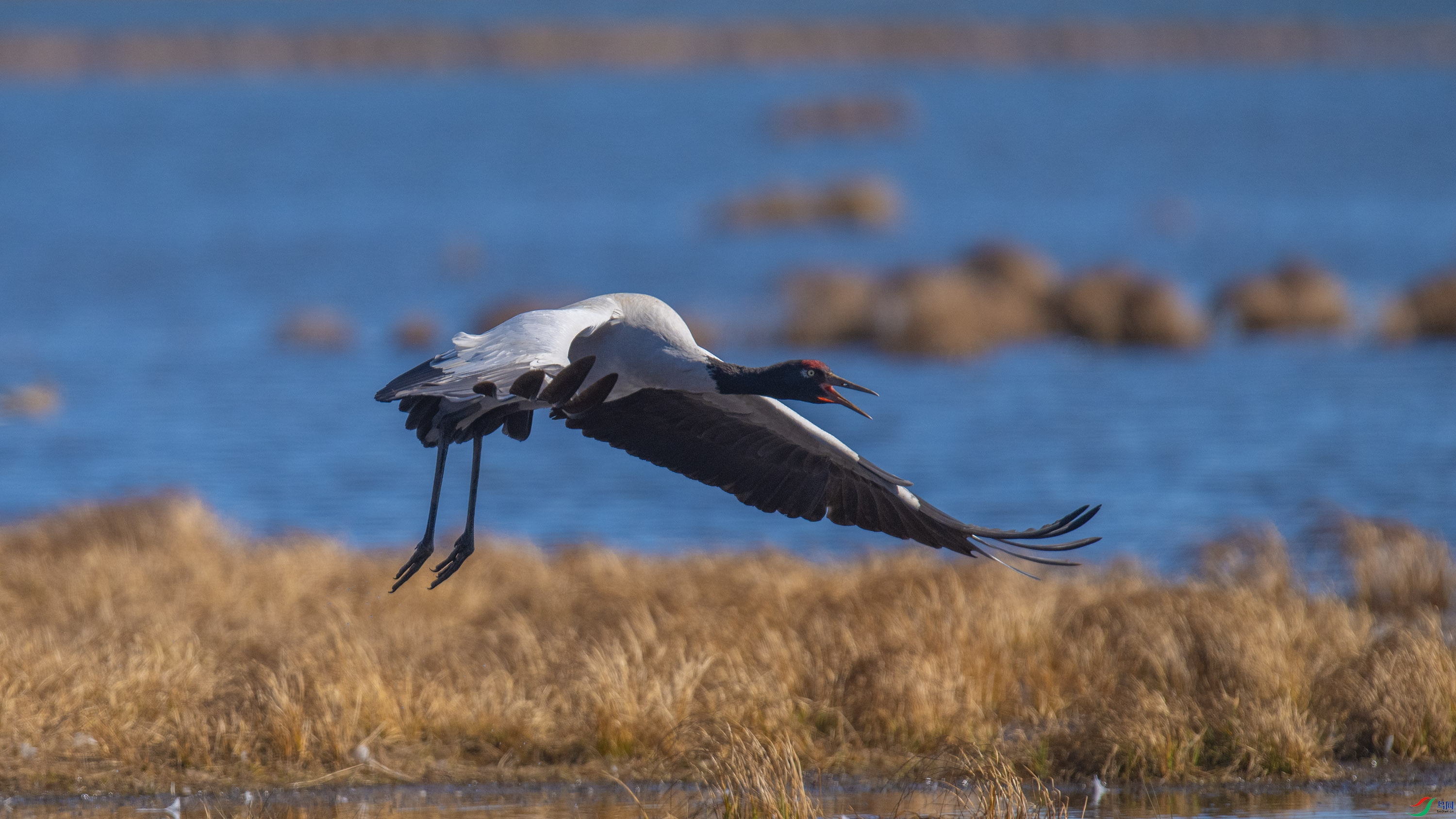 �ھ��� (7).jpg