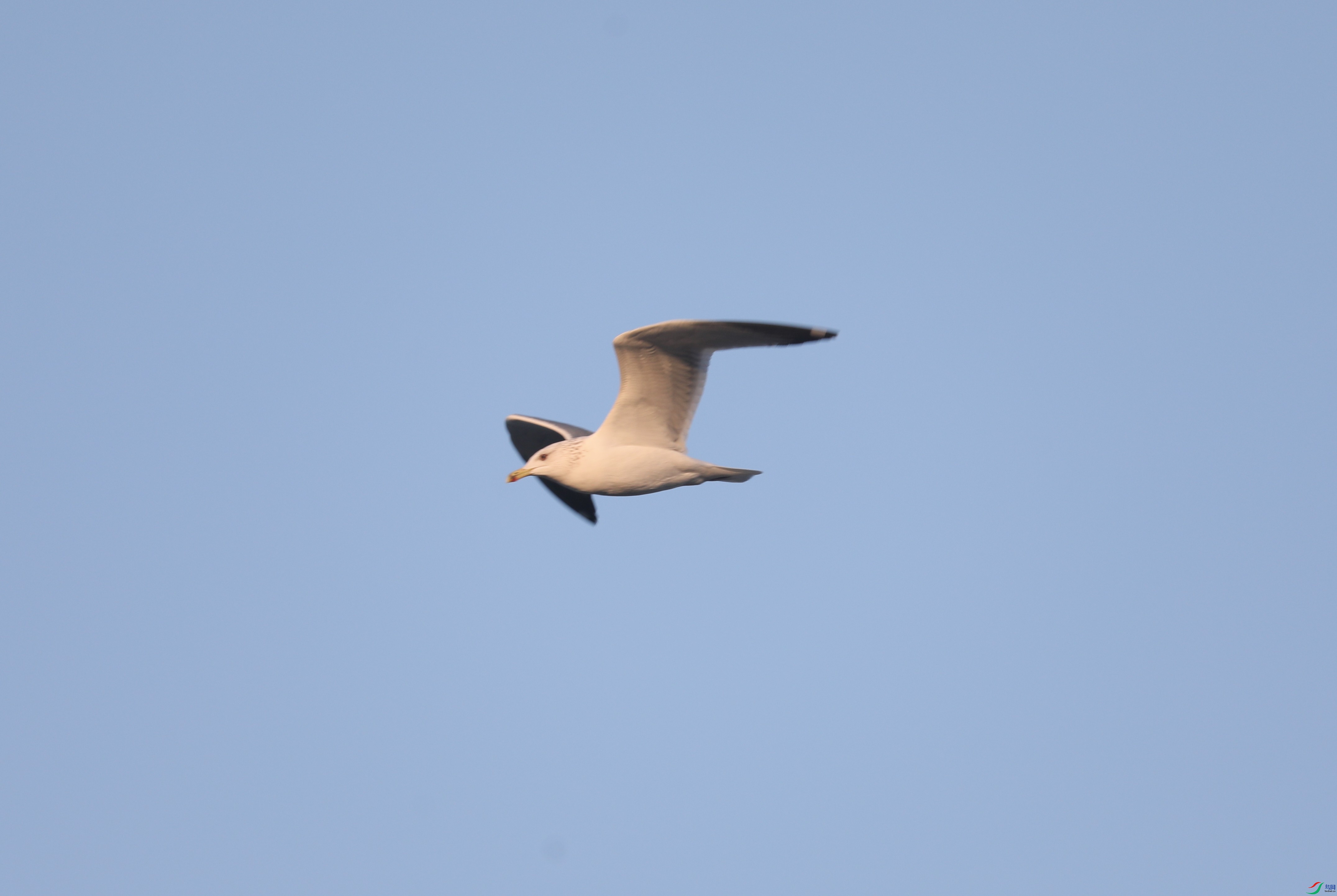 BL7A5318.JPG