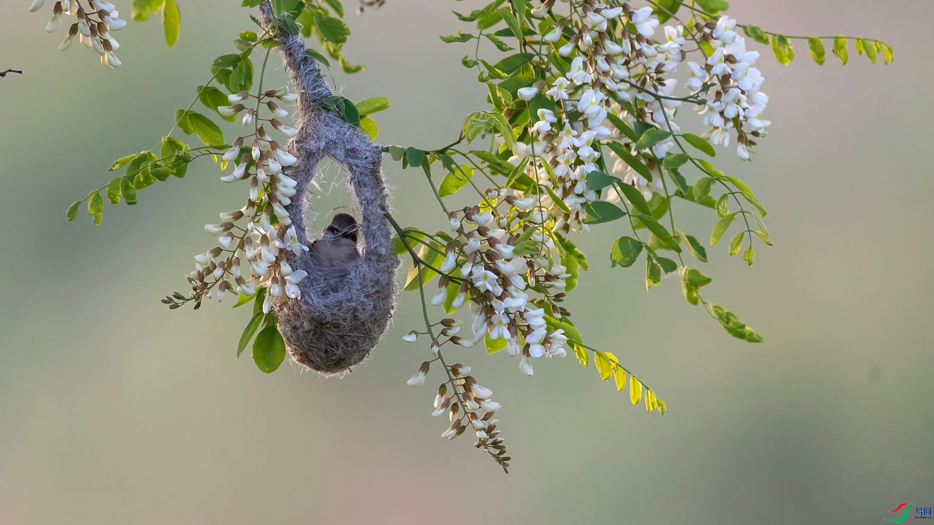 _DSC0456 ����.jpg