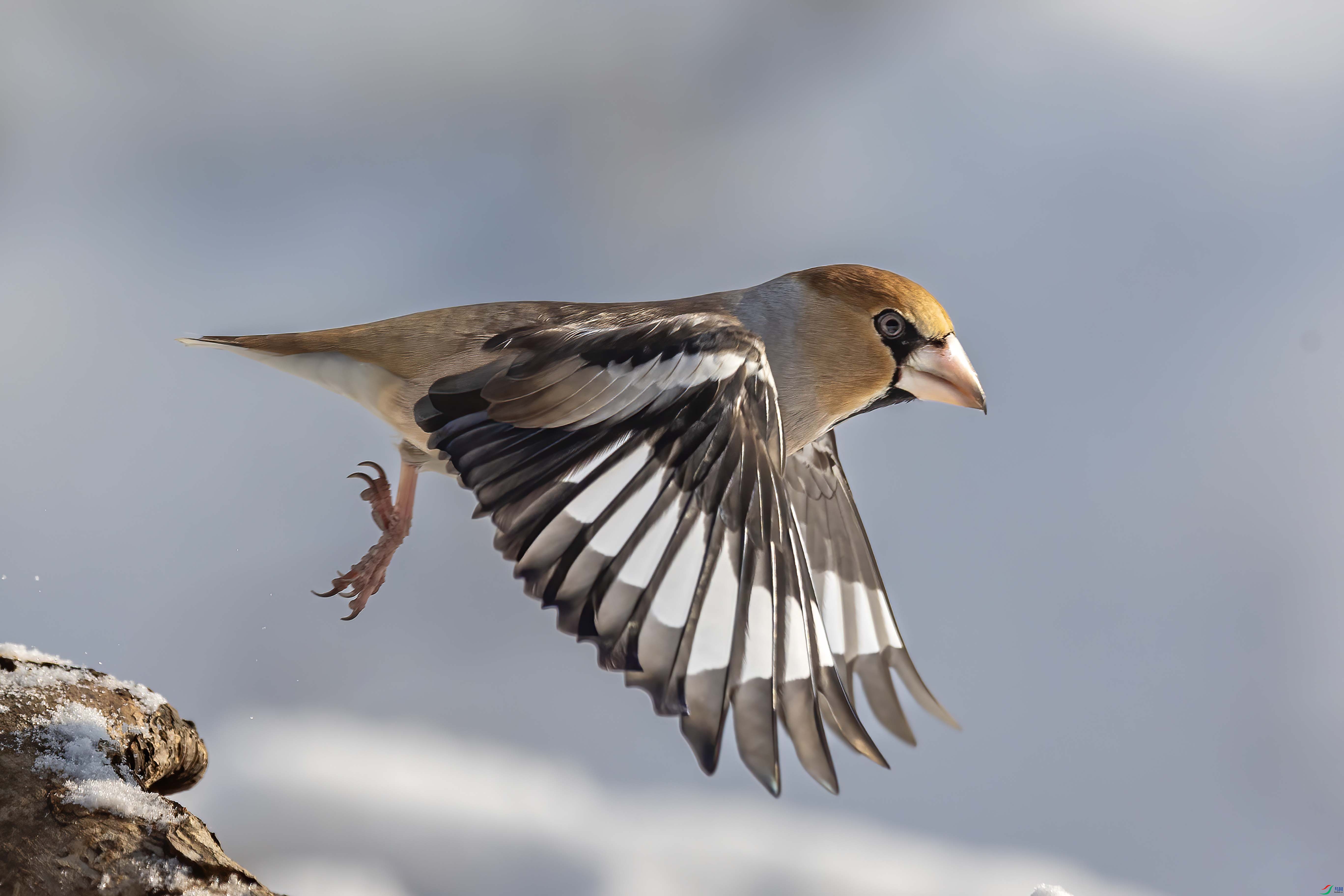 A64I6363 ���� 2.jpg