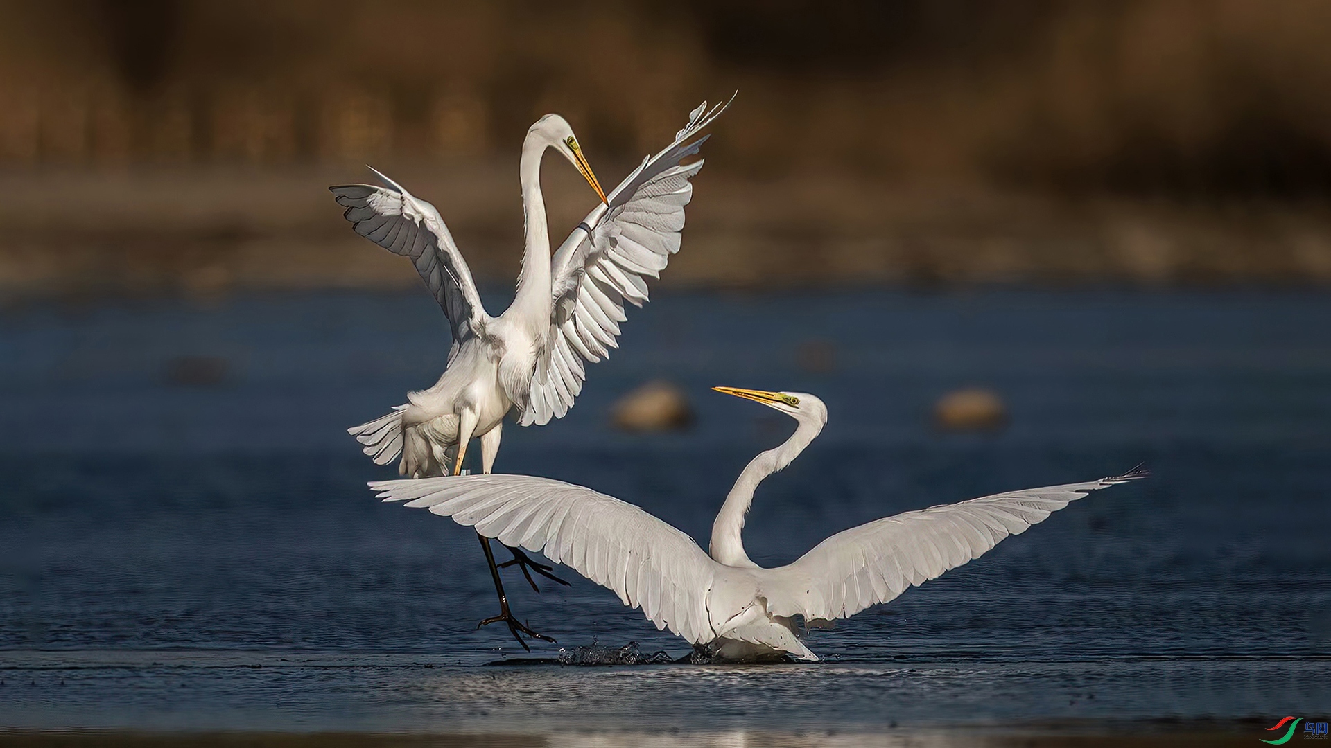 DSC_0550-20221014�ü� .jpg