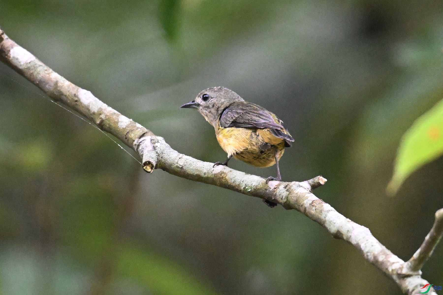 DSC_9942.JPG