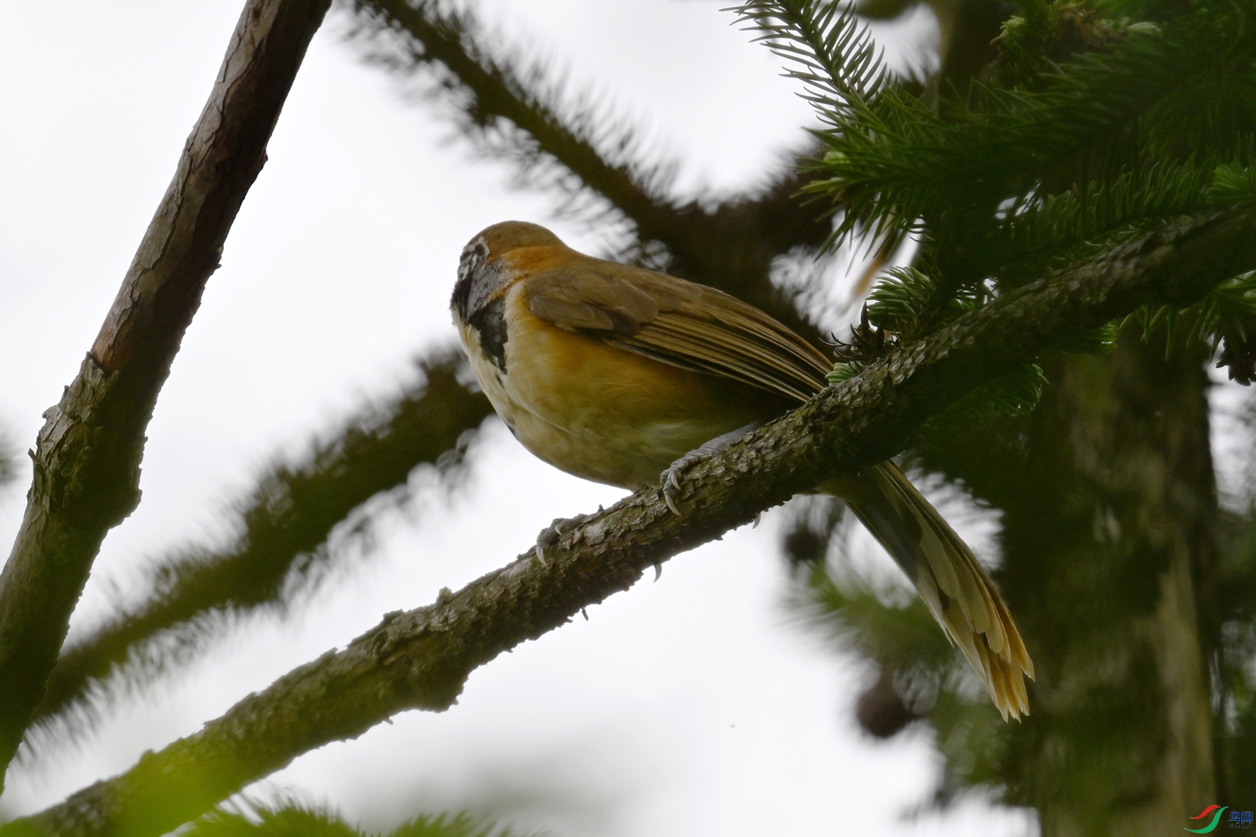 DSC_9960.JPG