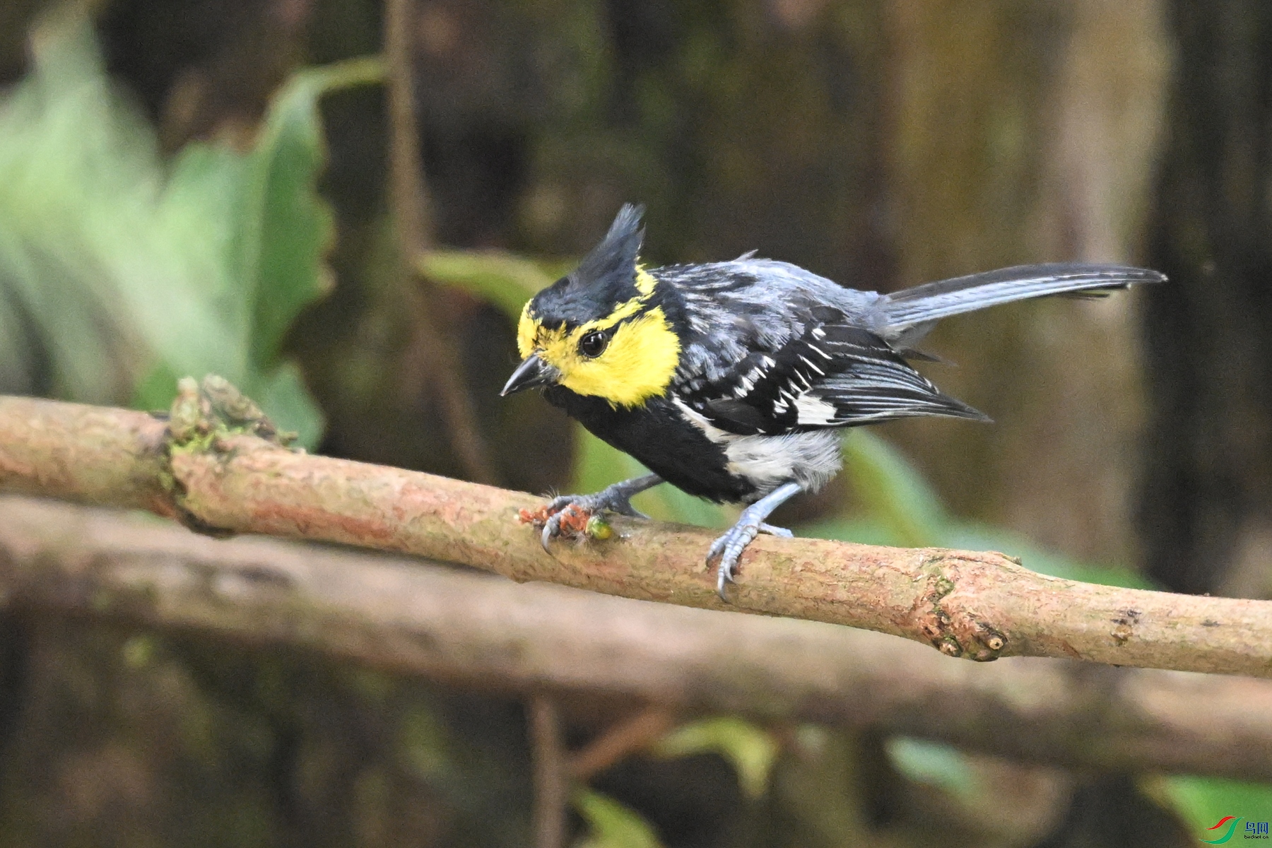 DSC_9987.JPG