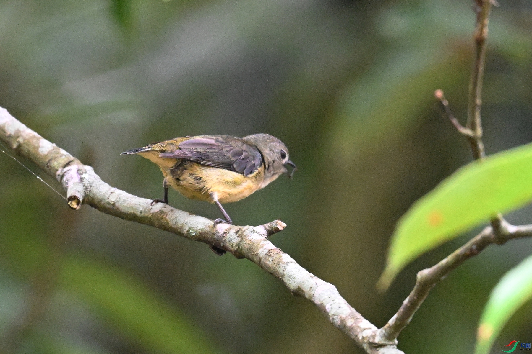 DSC_9933.JPG