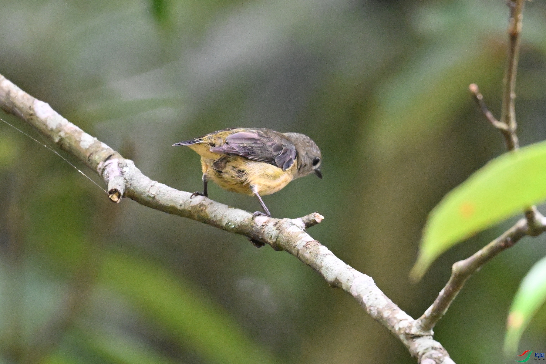 DSC_9936.JPG