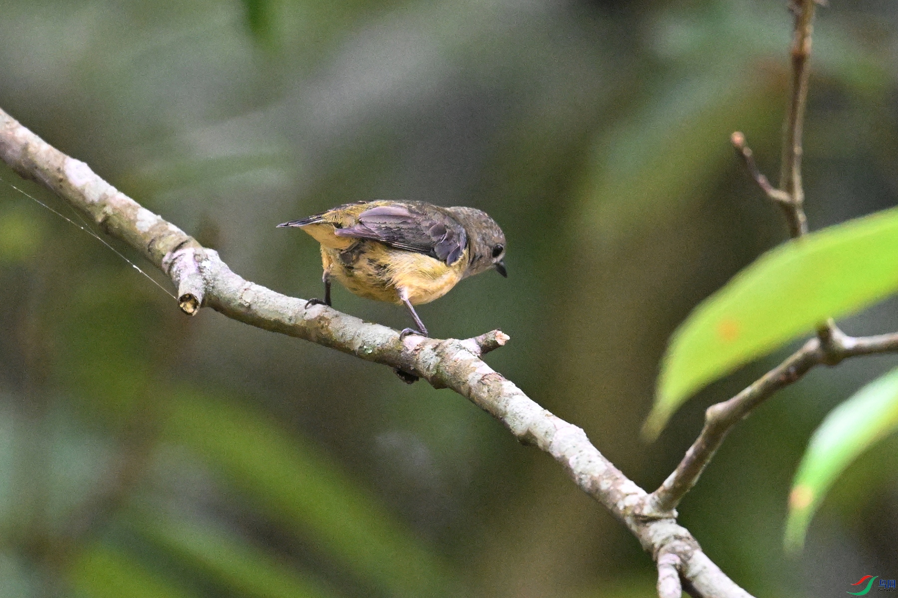 DSC_9938.JPG