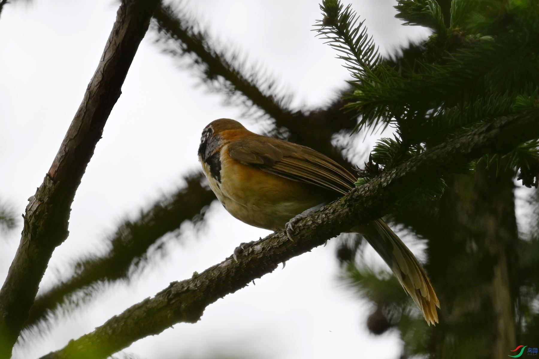 DSC_9962.JPG