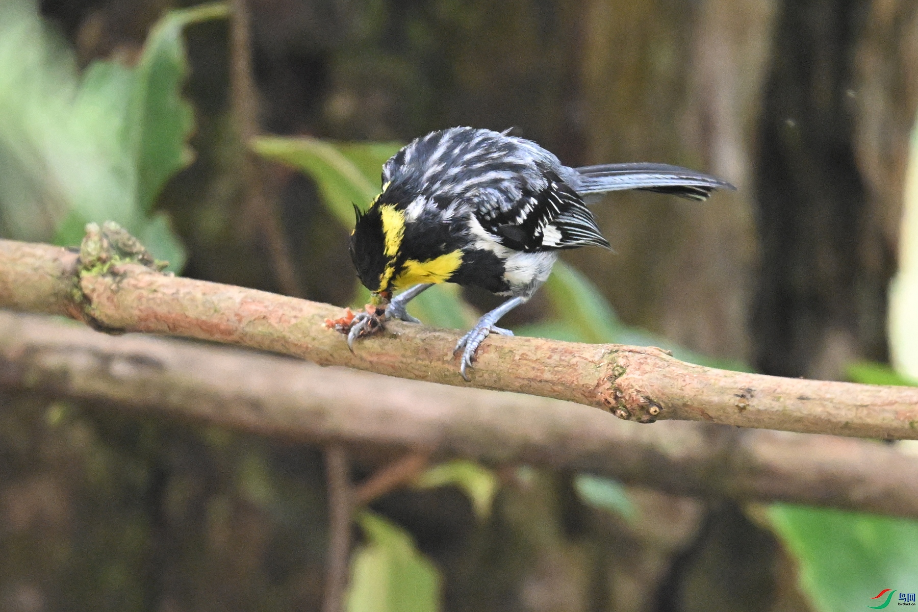 DSC_9991.JPG