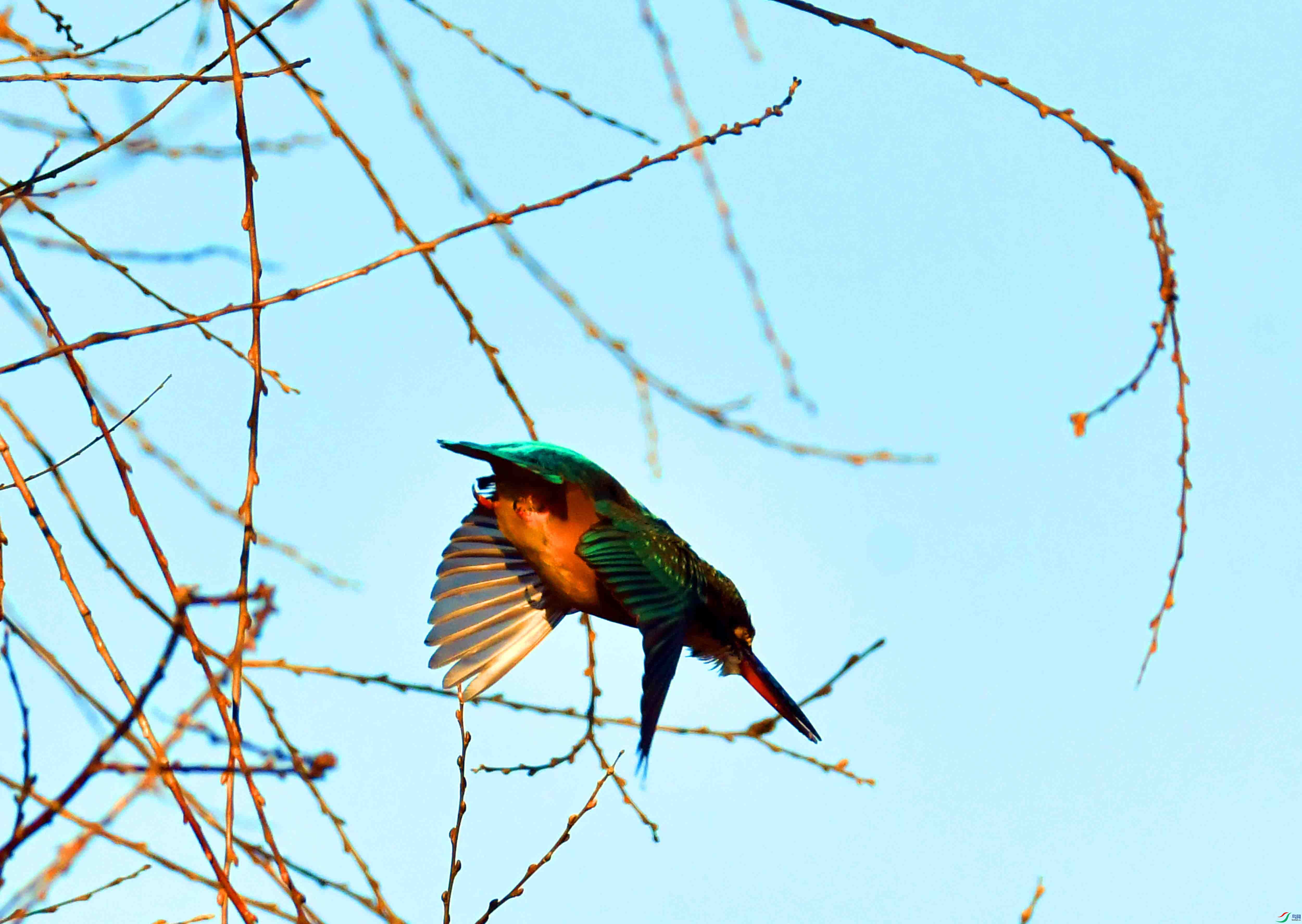 DSC_1093.JPG