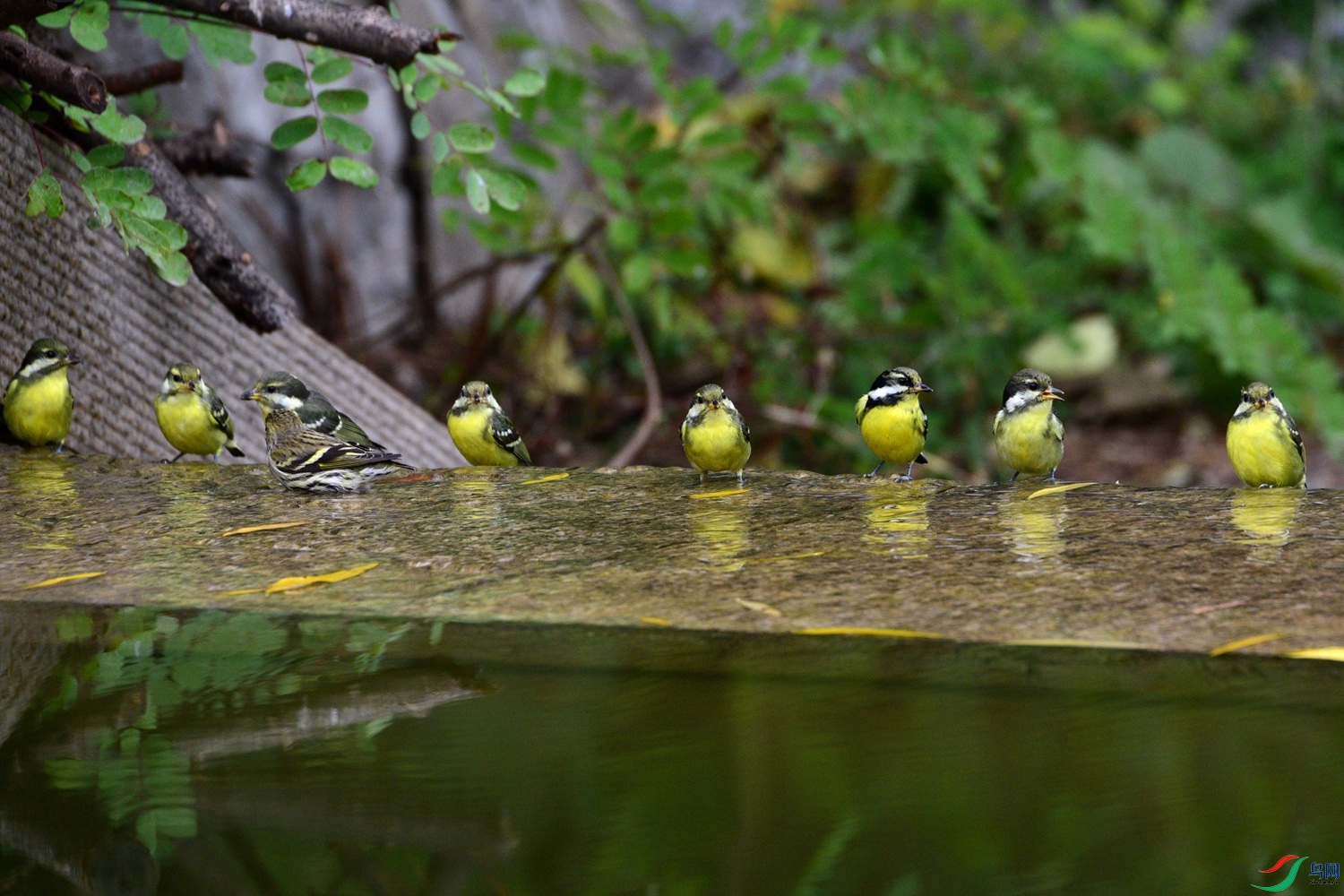 DSC_6941.JPG