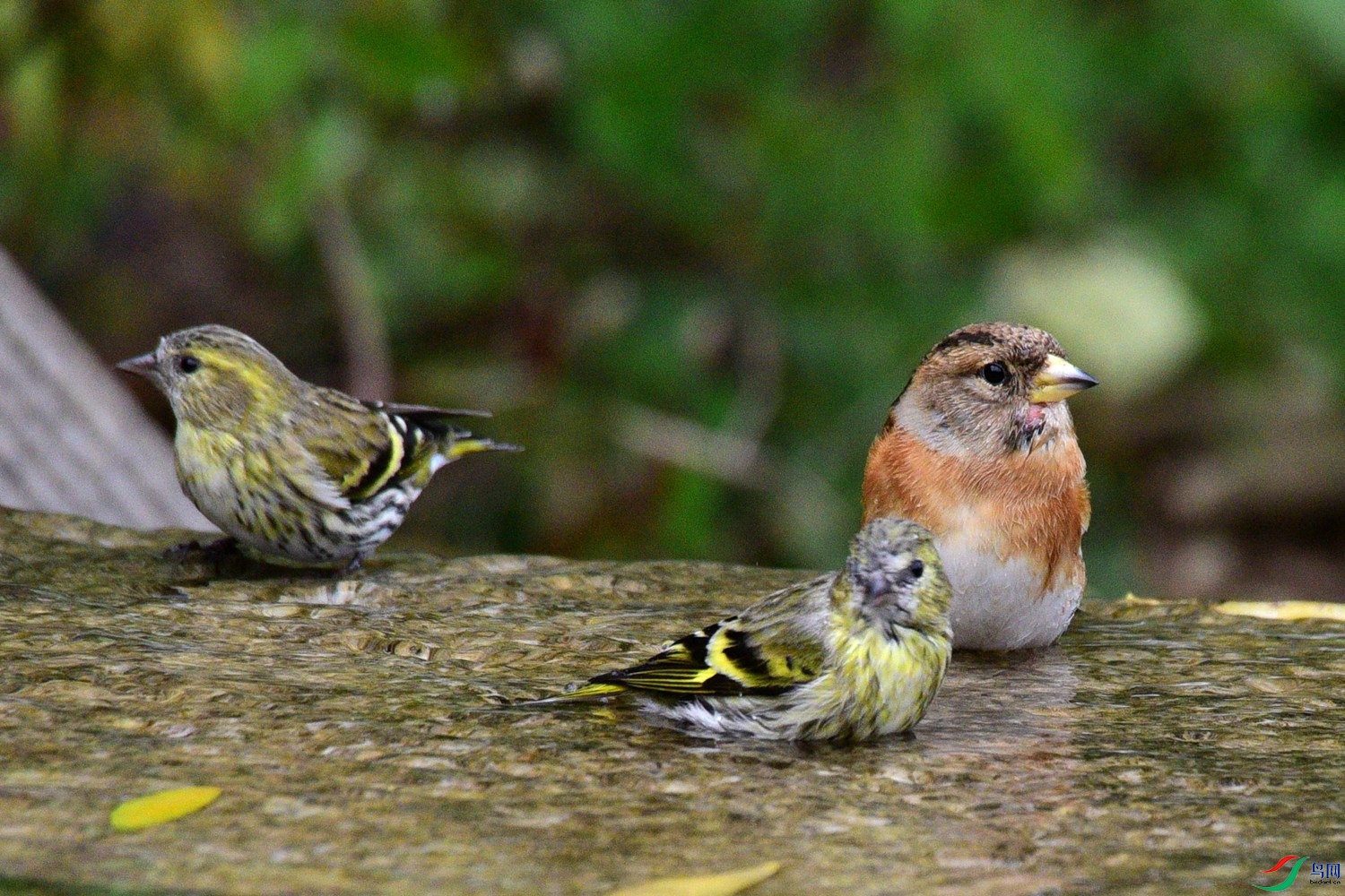 DSC_7149.JPG