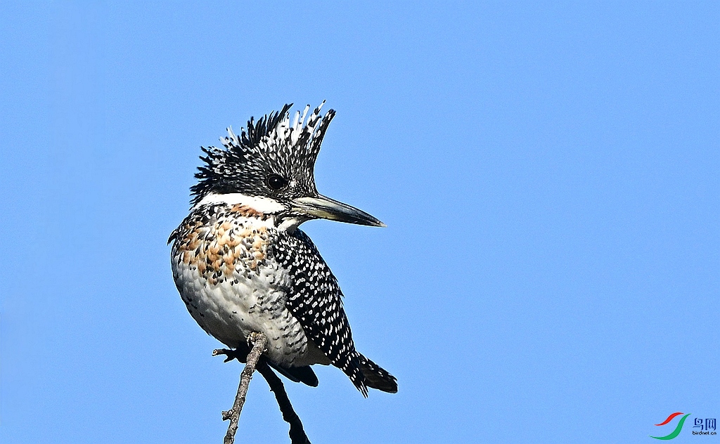 DSC_4409.JPG