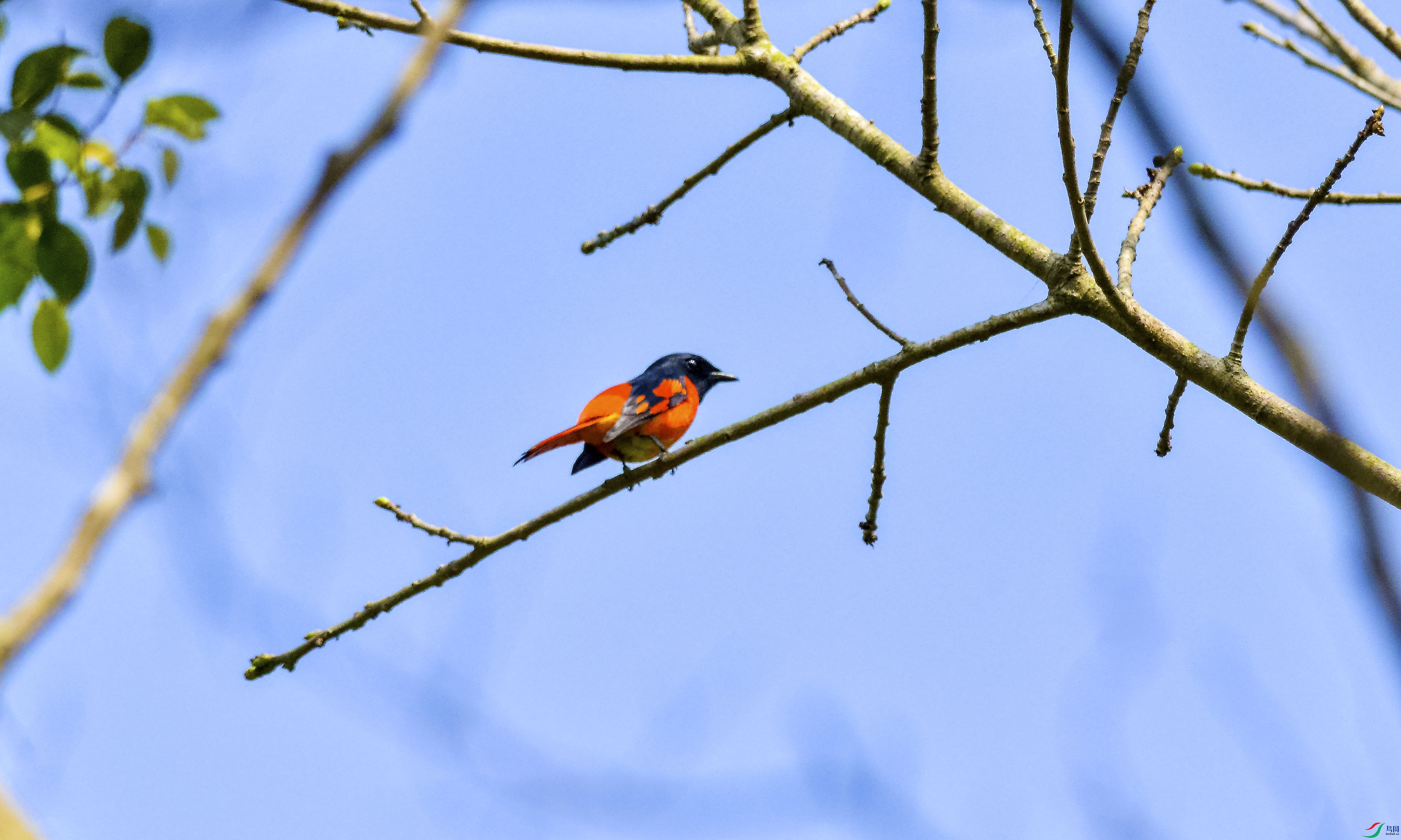 DSC_5649.jpg
