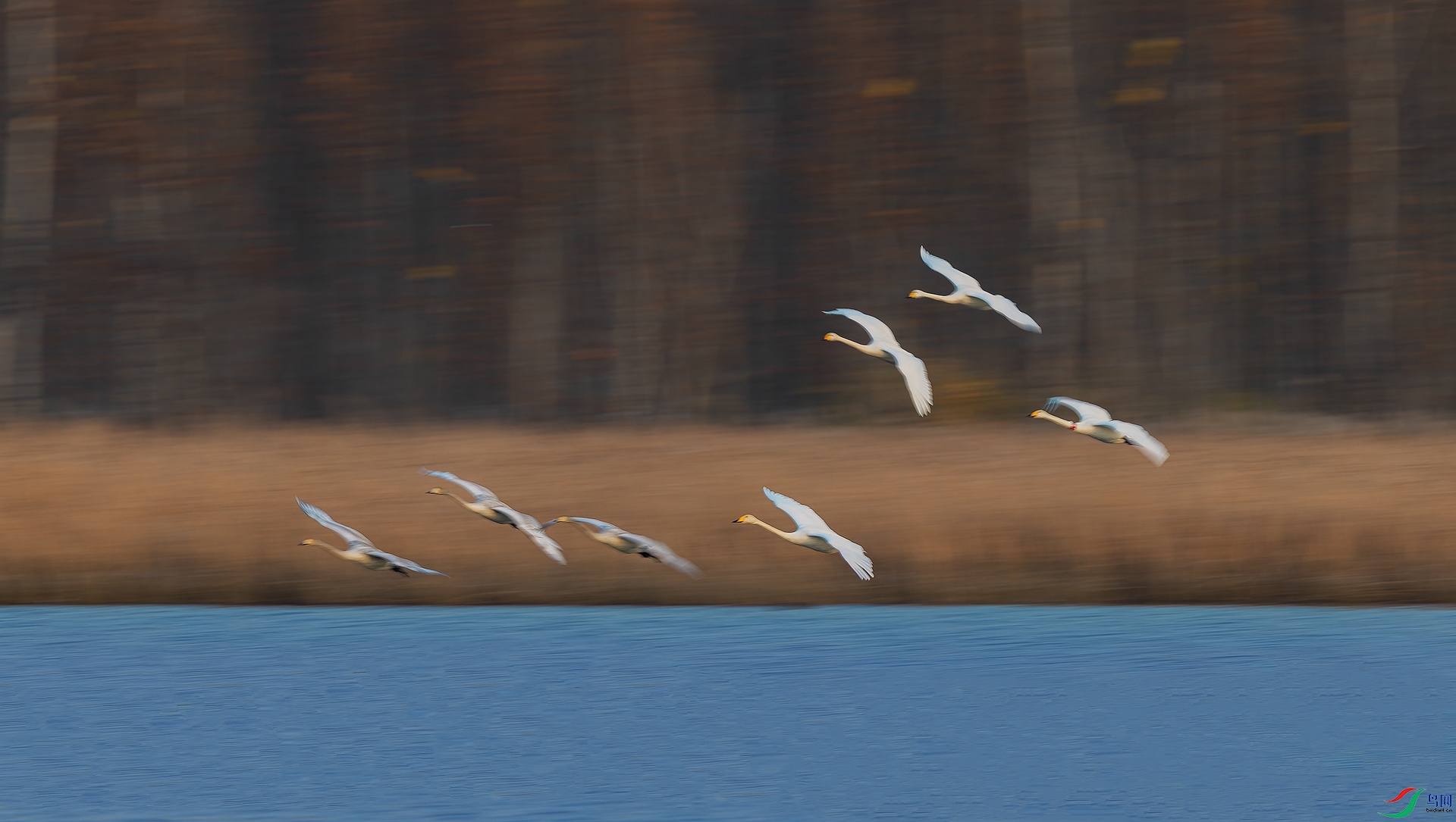 0Q2A8229-3.jpg