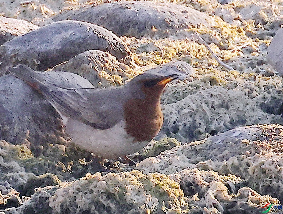 3A2916�ྱ�-26.JPG