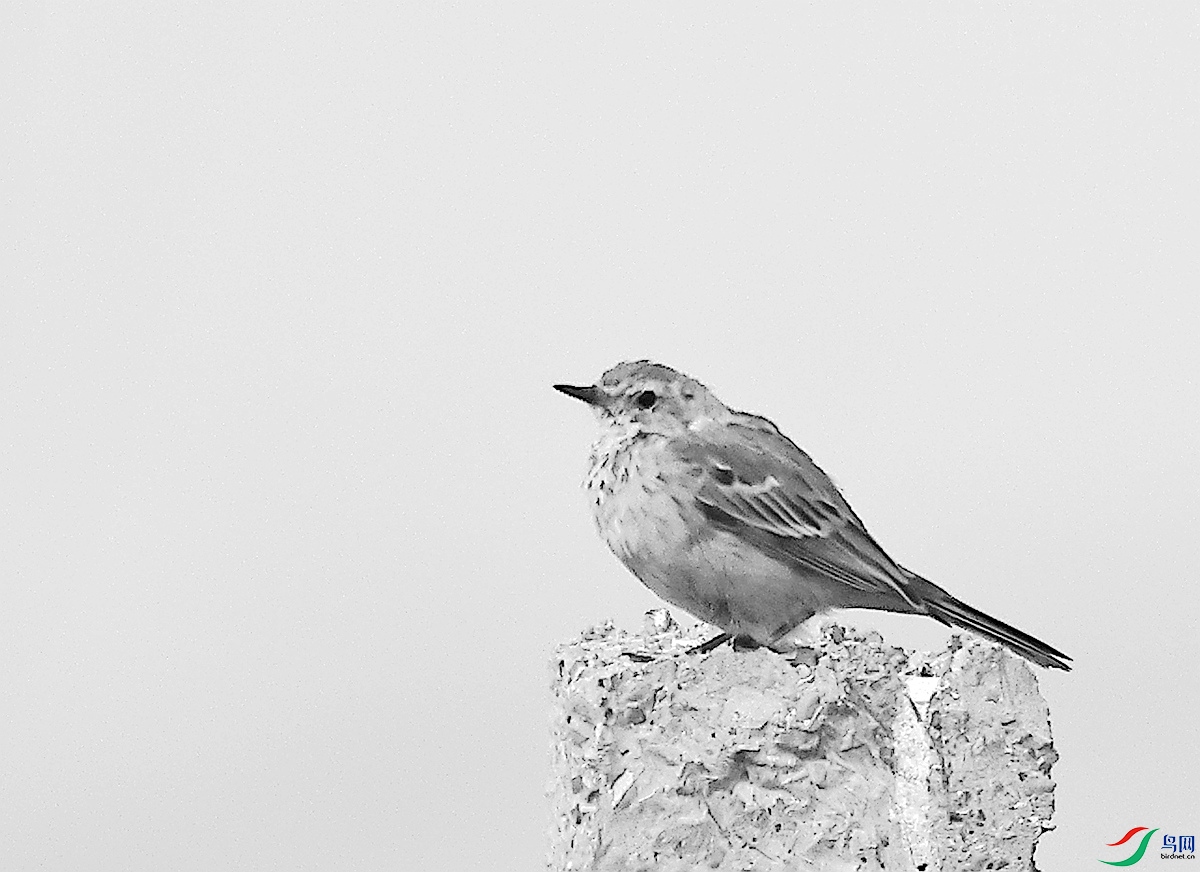 h3A0291ˮ��-26.JPG