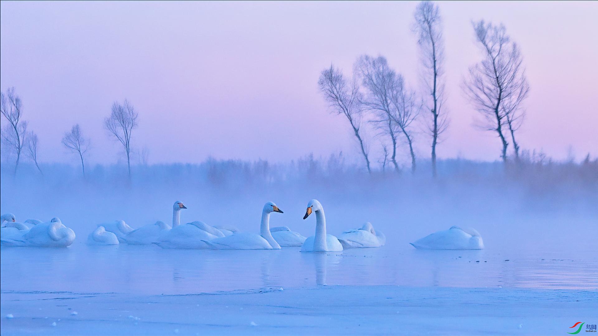 �������ӡ��������