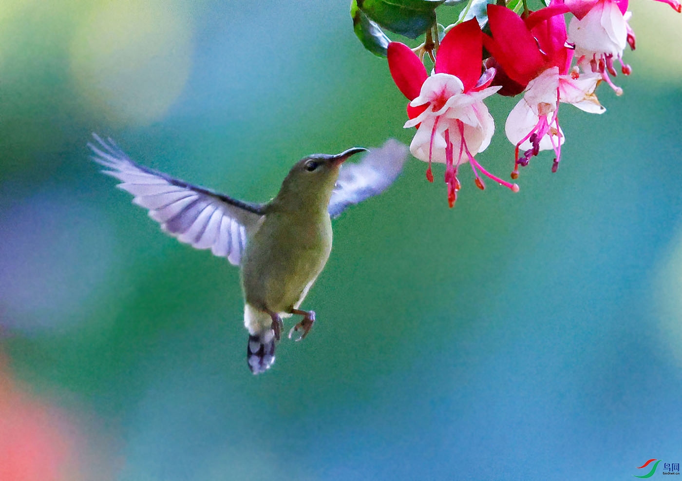 08-����ͼ  ̫����.jpg