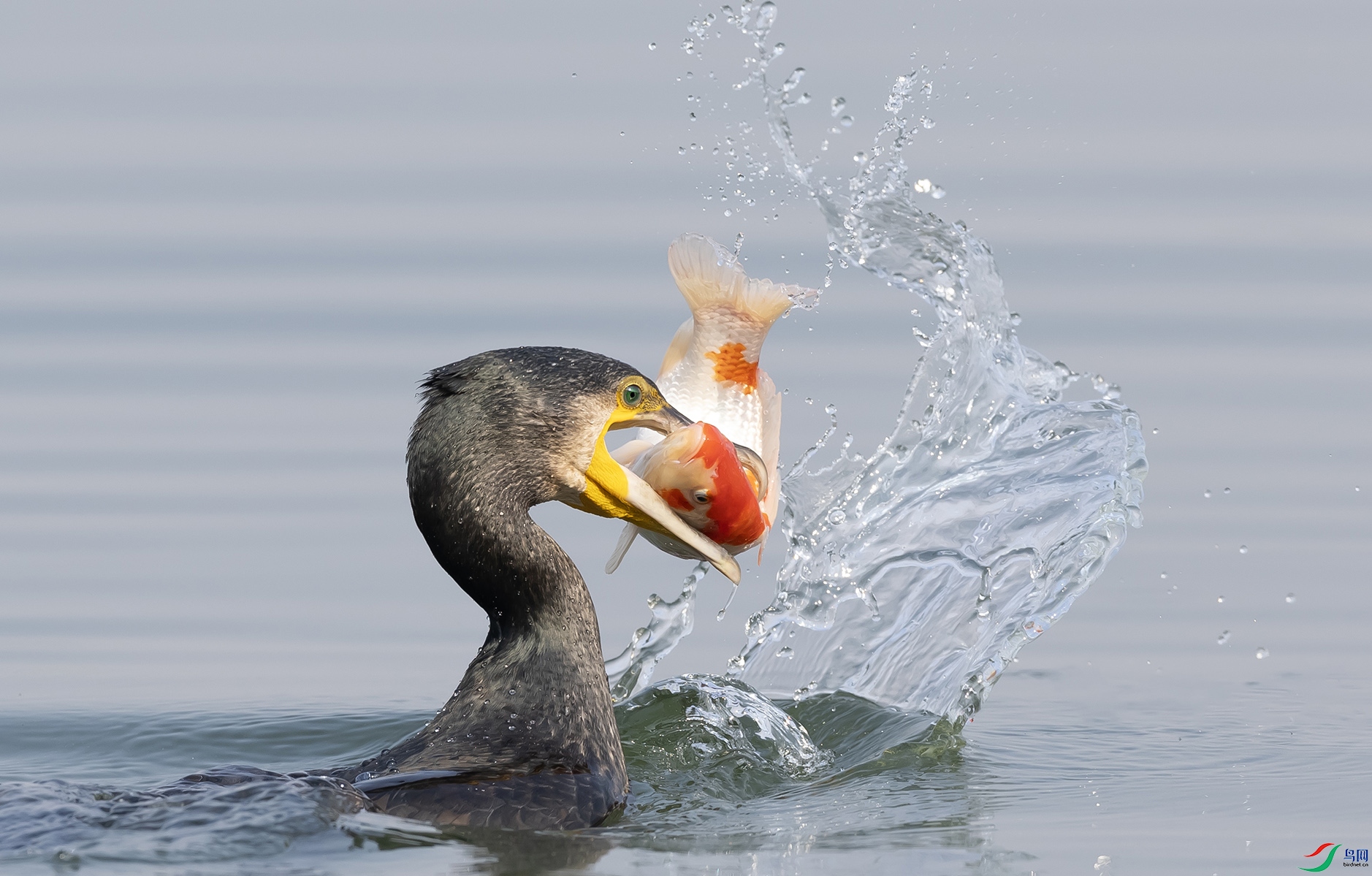 019A8634 ����2 ����.jpg