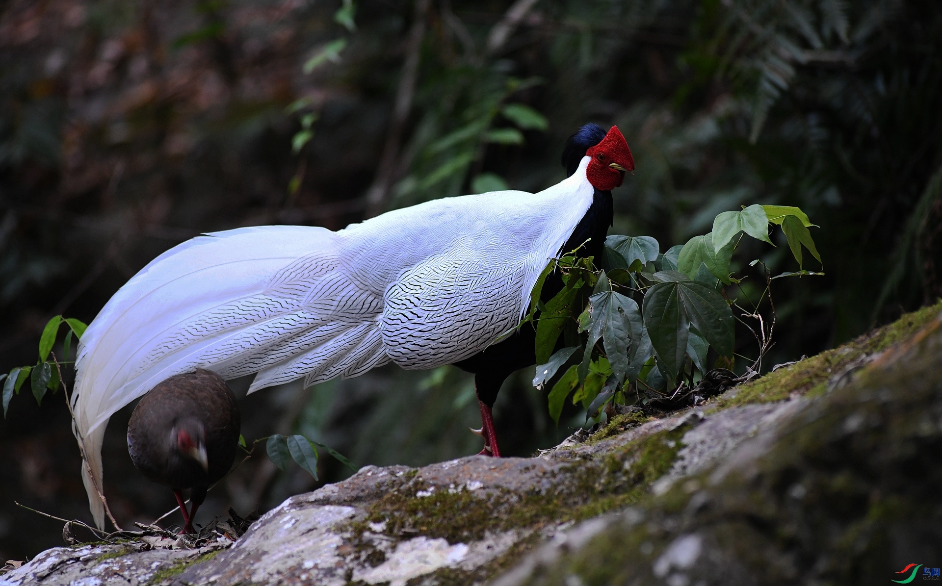 DSC_2599.jpg