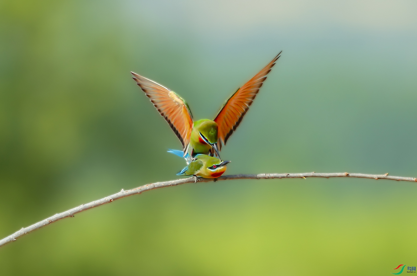 _U4I2618 ���� 2.jpg