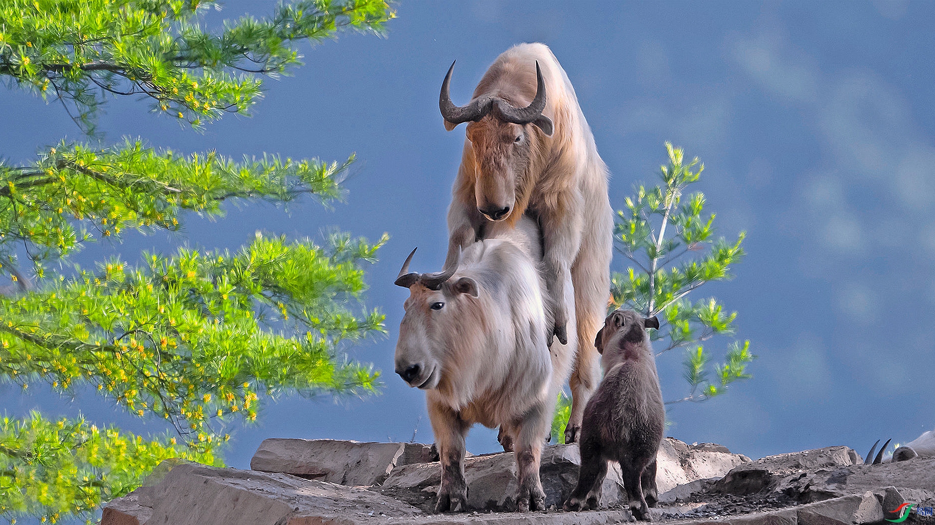 230_��·-1 . ����.jpg