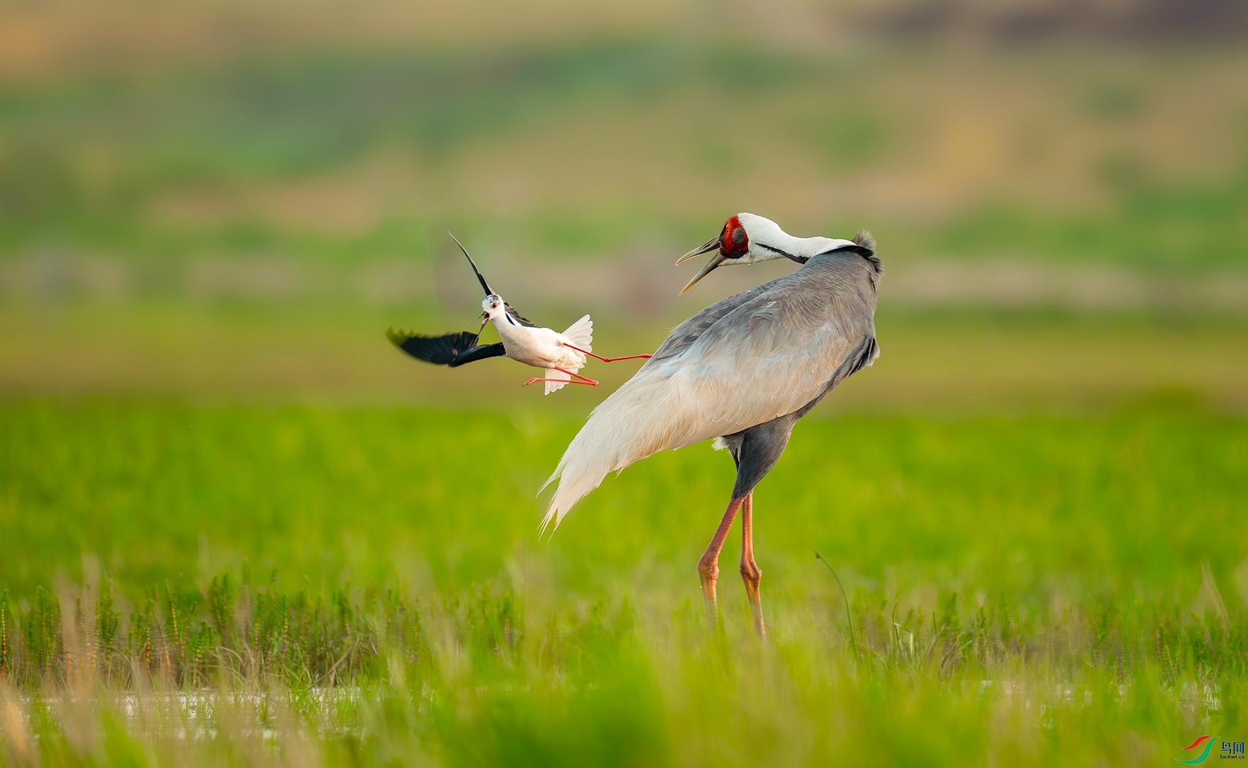 014__DSC5227С�׺�- ���� ����.jpg