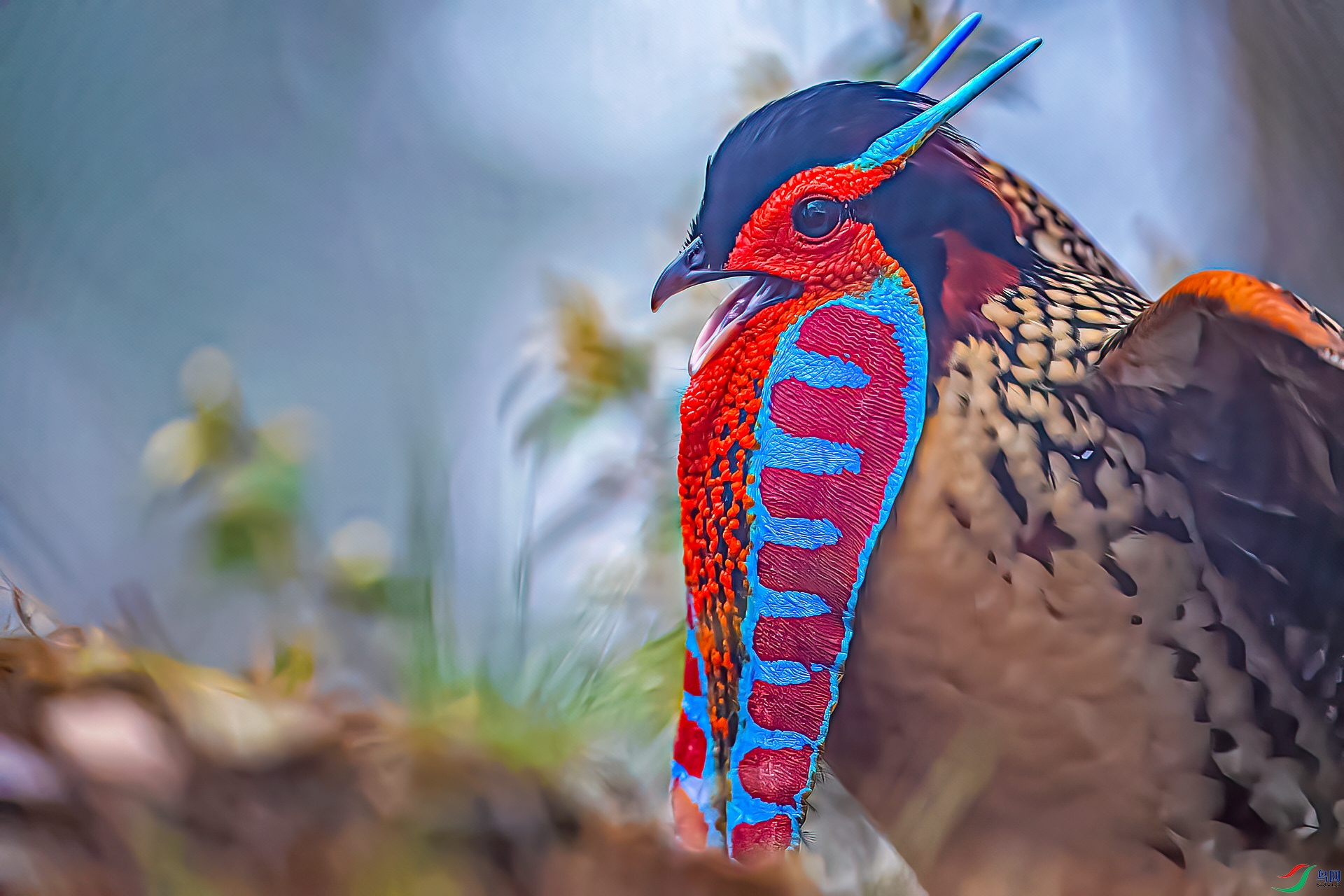 ��żʢװ �Ƹ����� ���� 13901785463.jpg