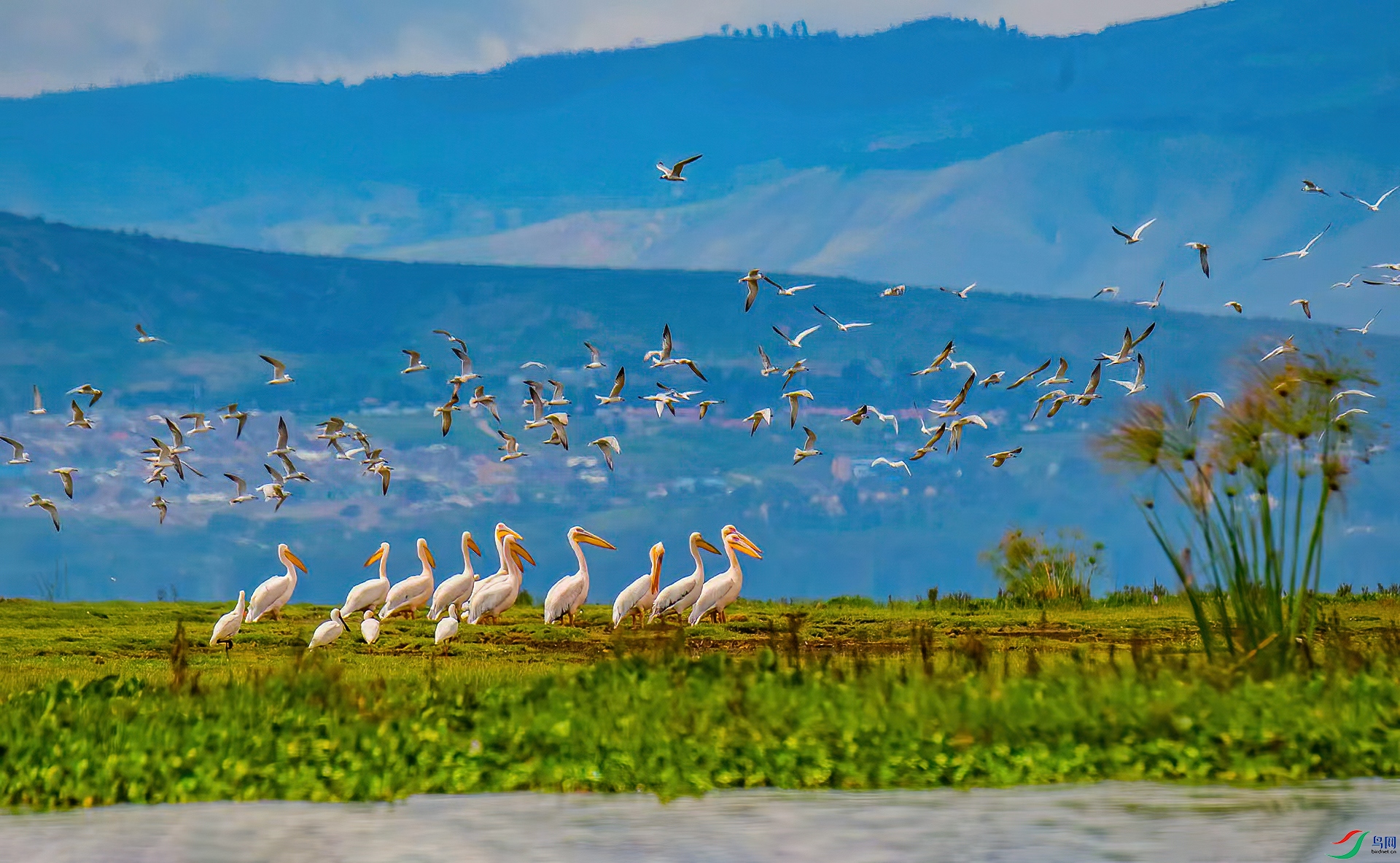 ��������-����ɯ���� (2).jpg