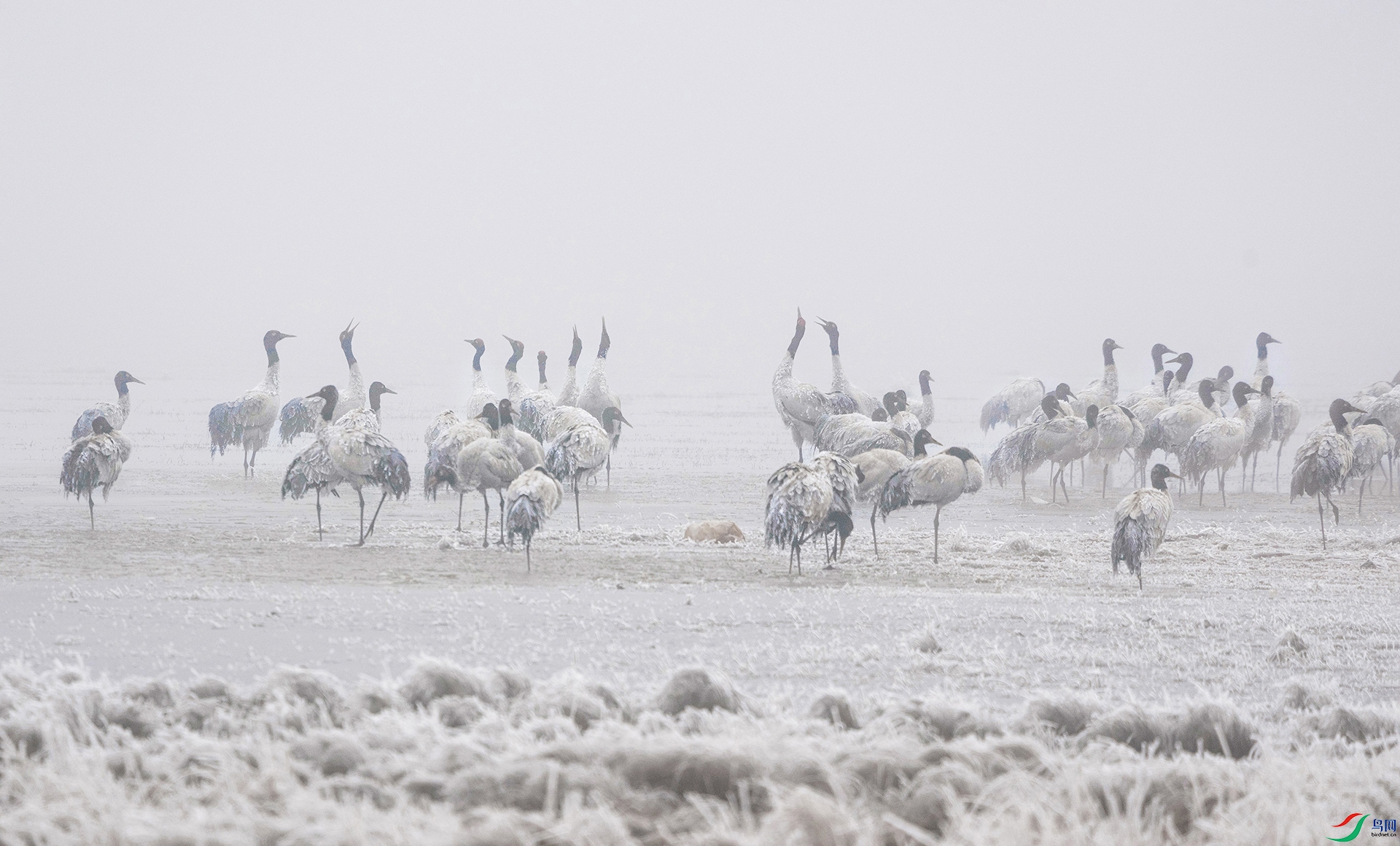 ѩ���Ⱥ �ź�÷.jpg