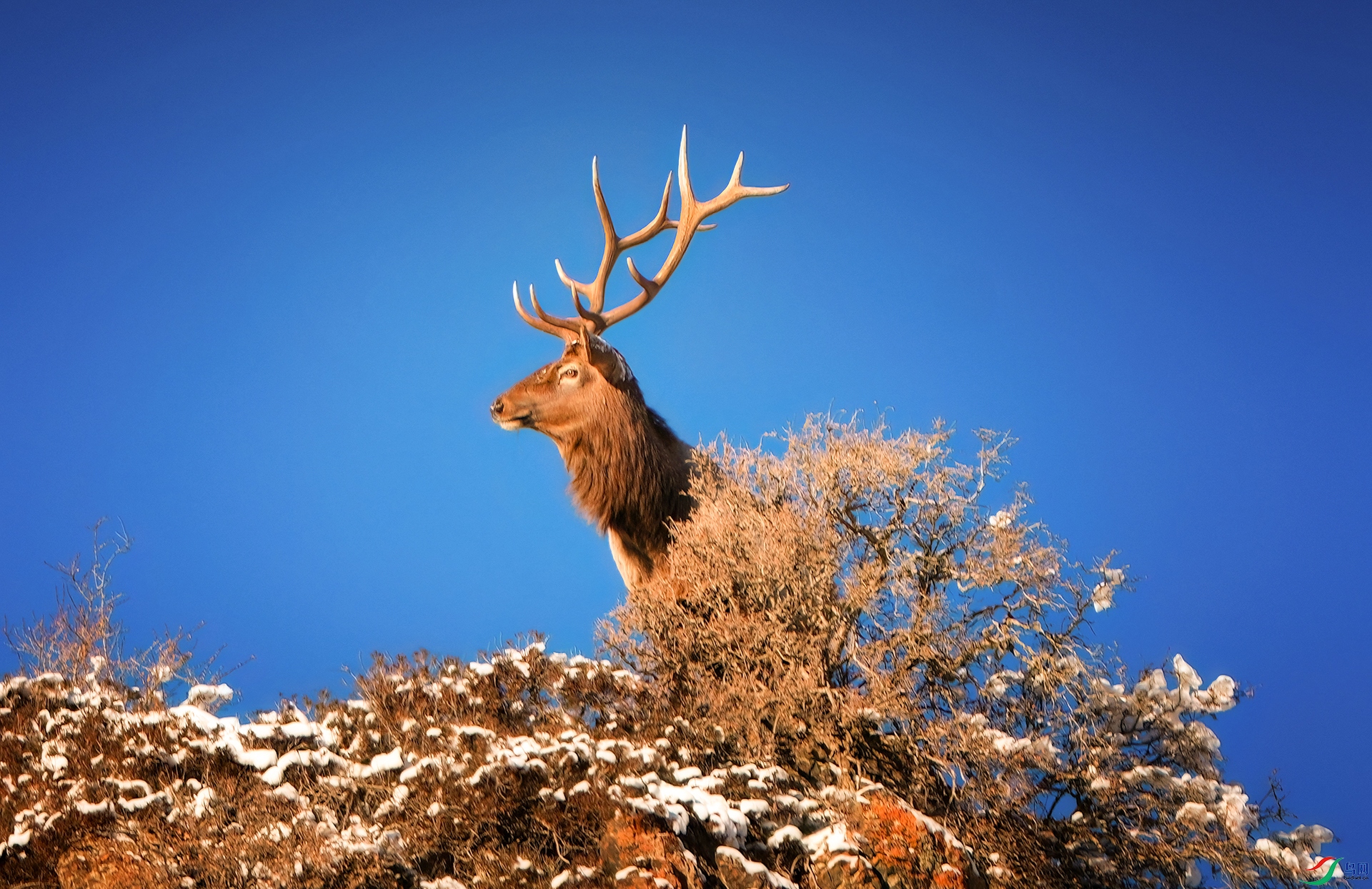 ��ů����-2025-�������µ�����֮�ˡ� ������.jpg