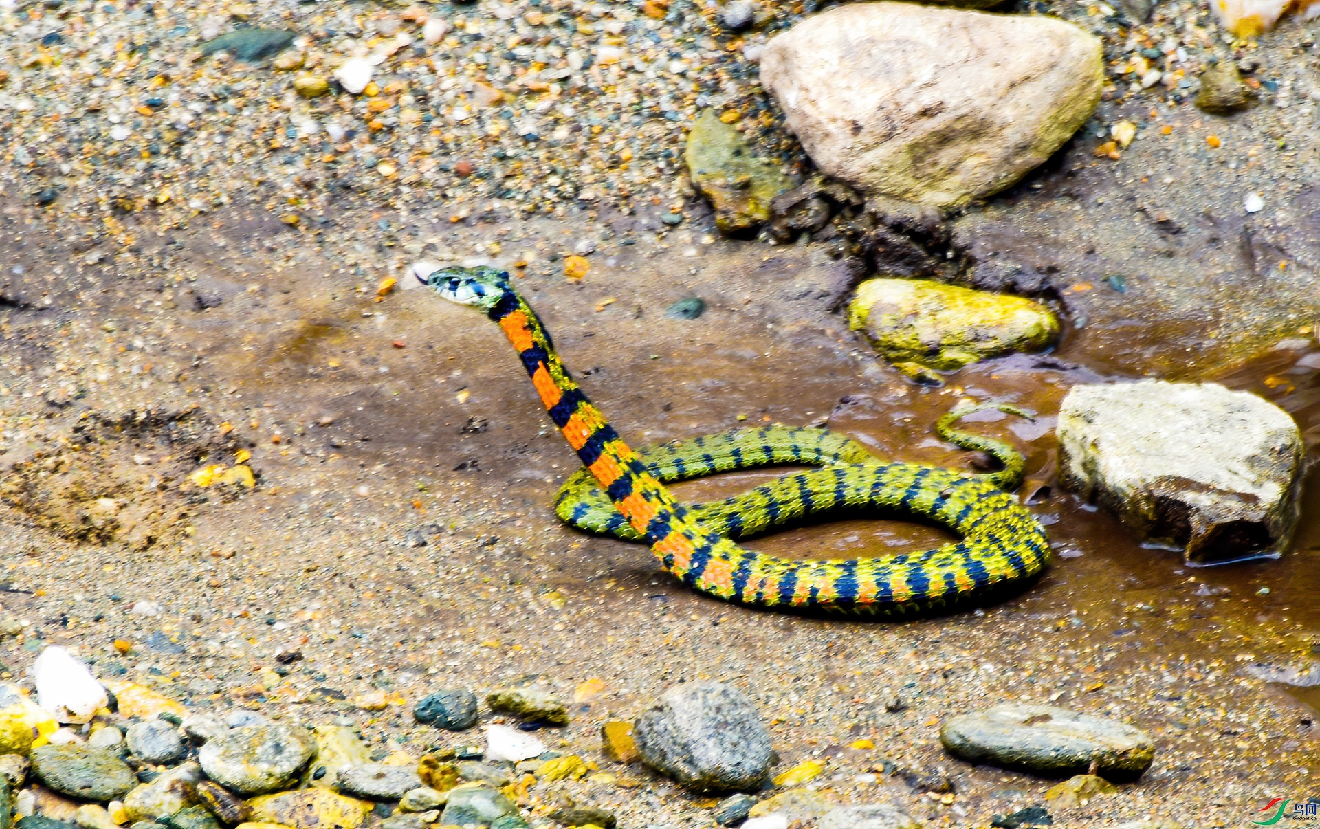 DSC_3466���� ��Ӱ�ܼ�ɽ-.jpg