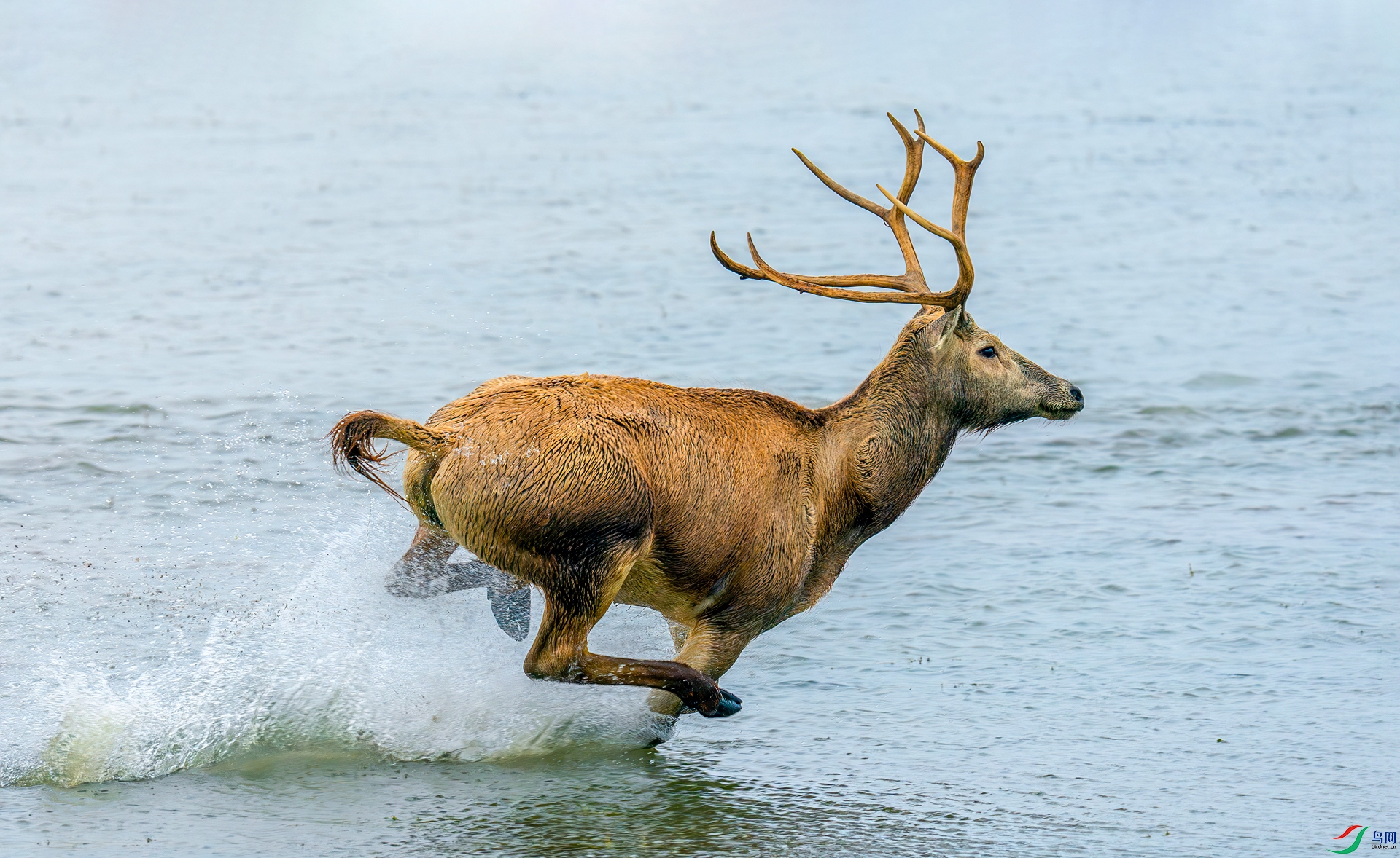 ���������� ˮ�б��� ��������.jpg