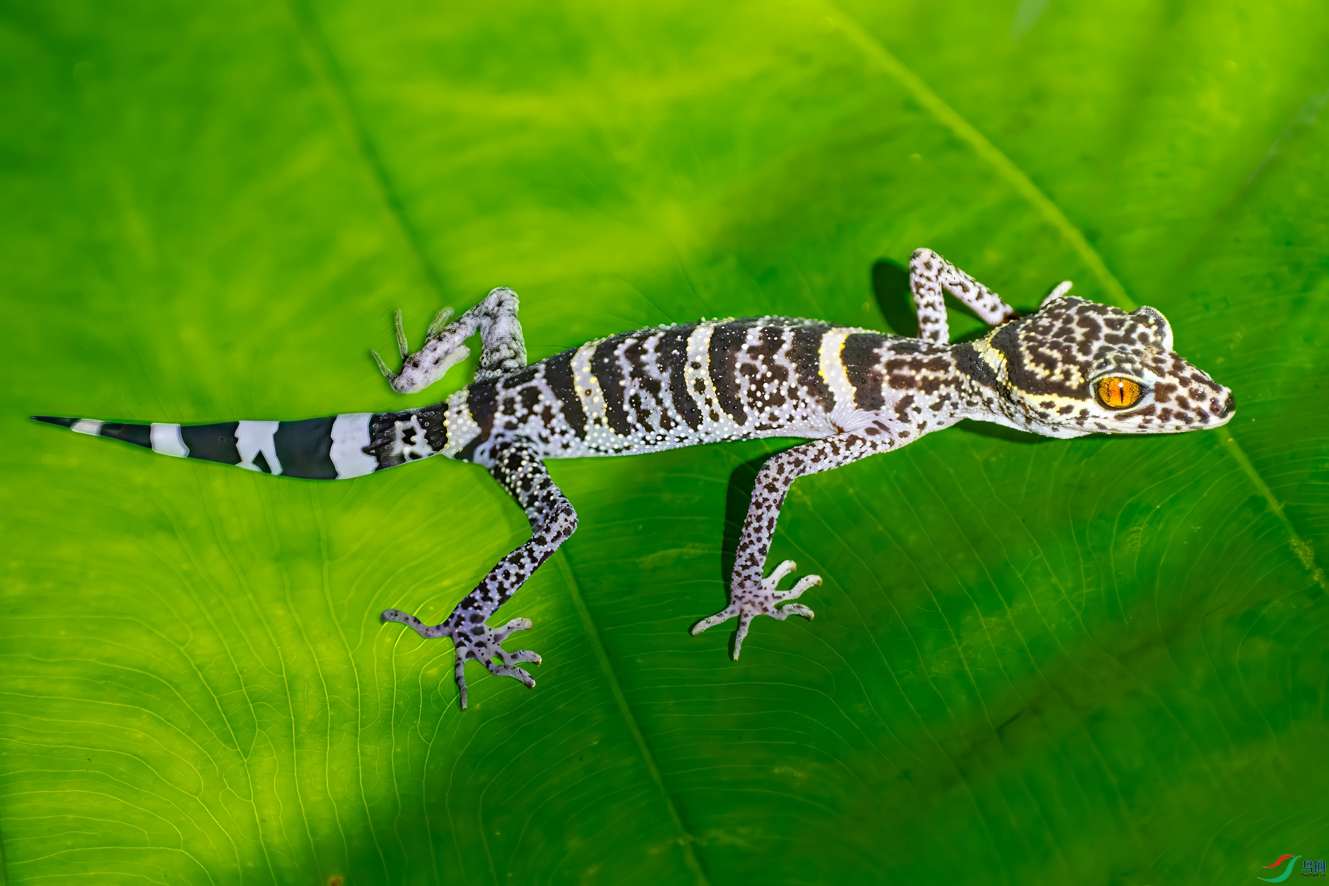 ƾ������ ���п� 13977182920.jpg